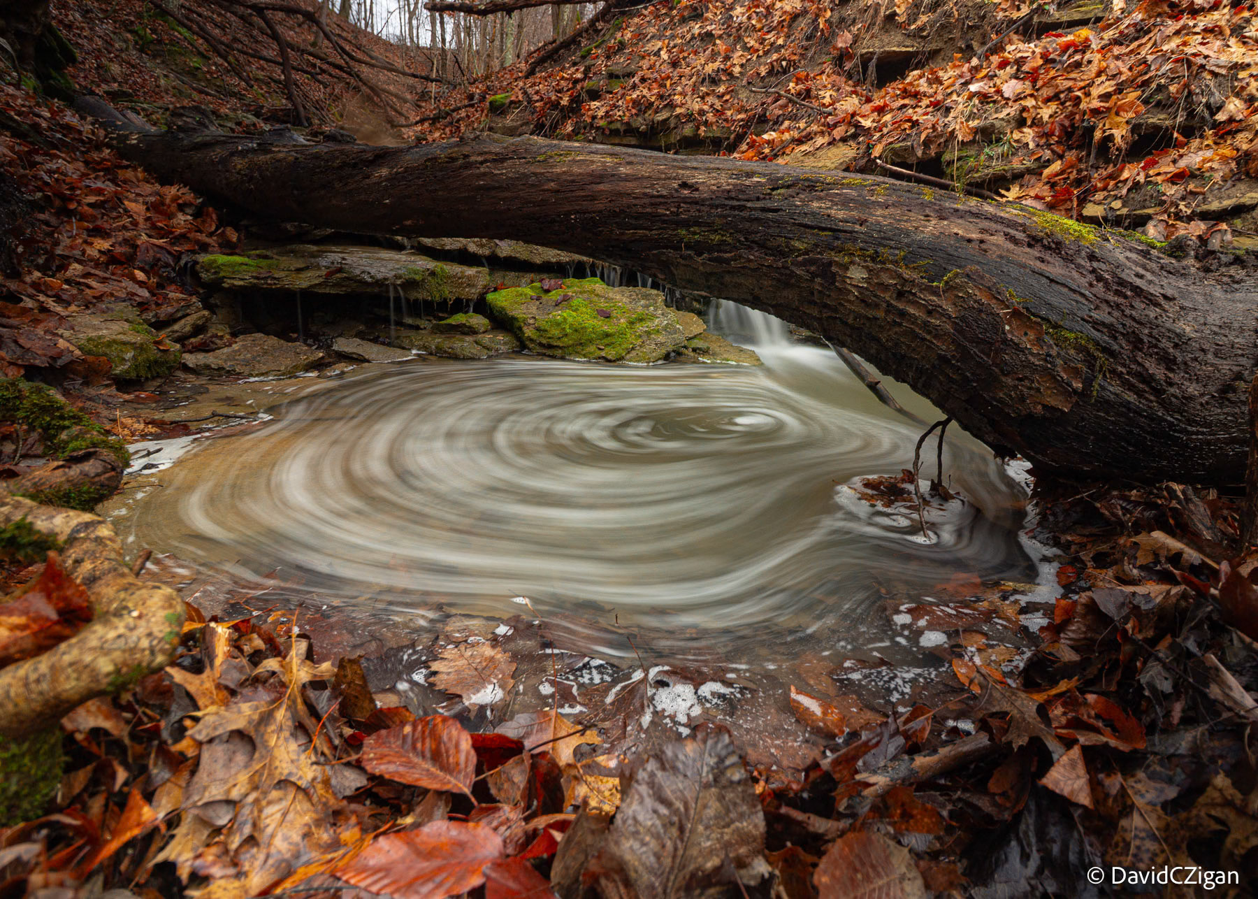 Long exposure Autumn creek