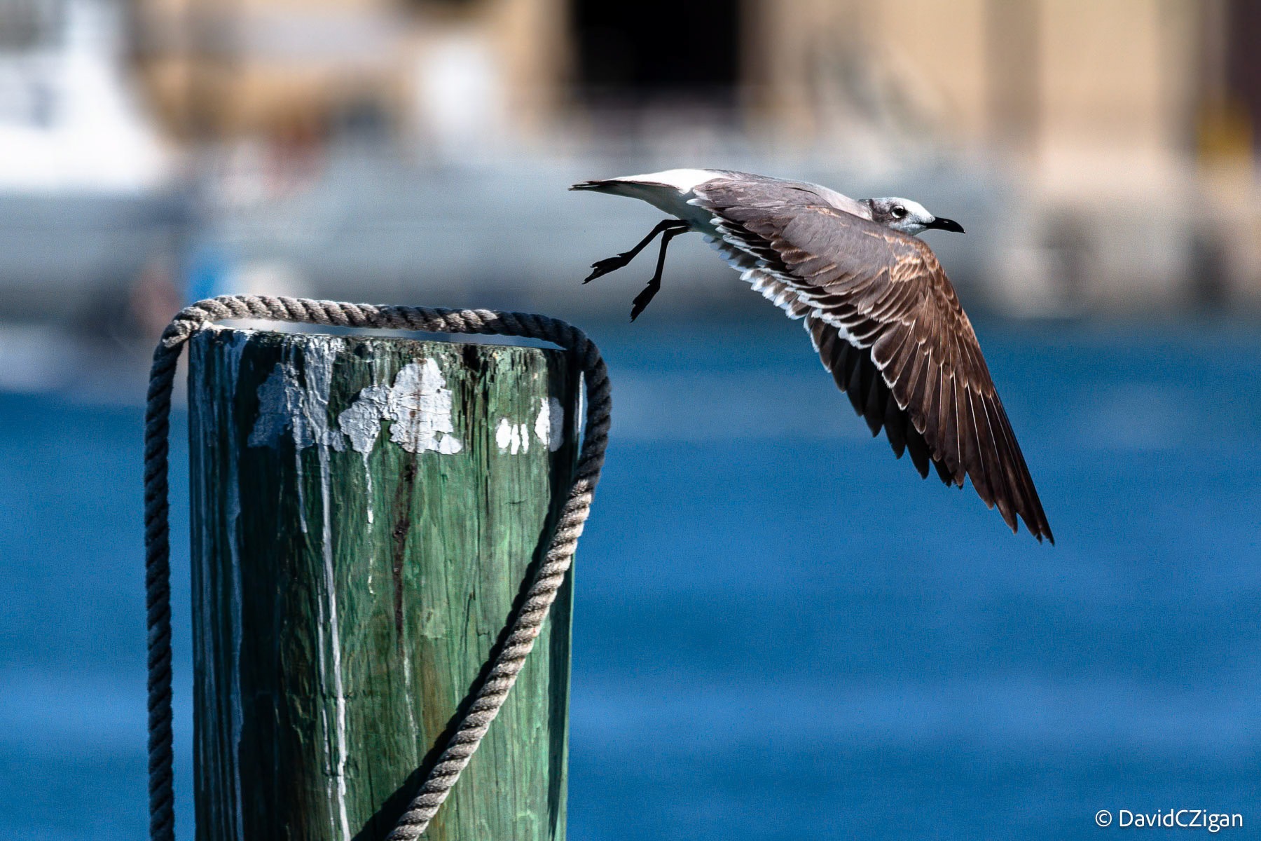Morning takeoff