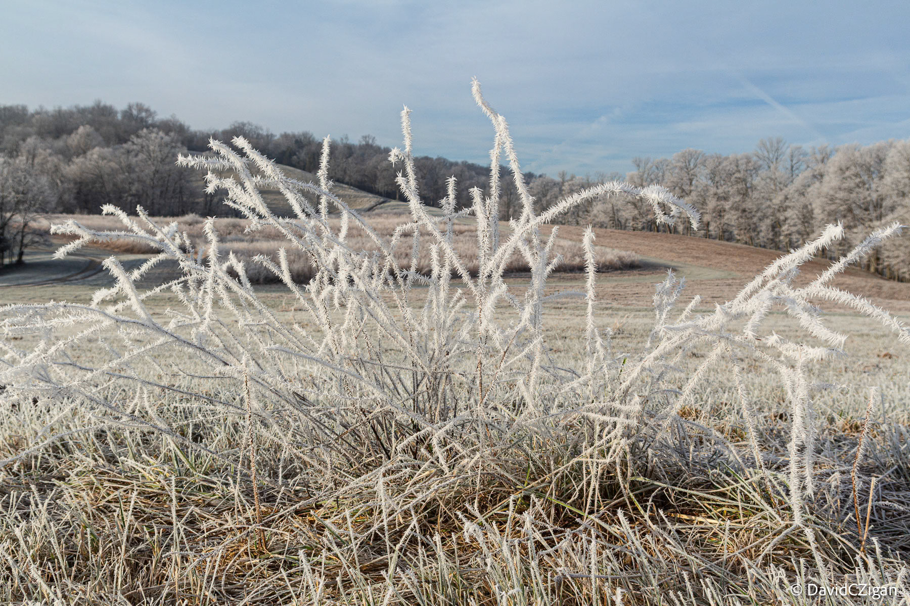 Morning light Frosty field