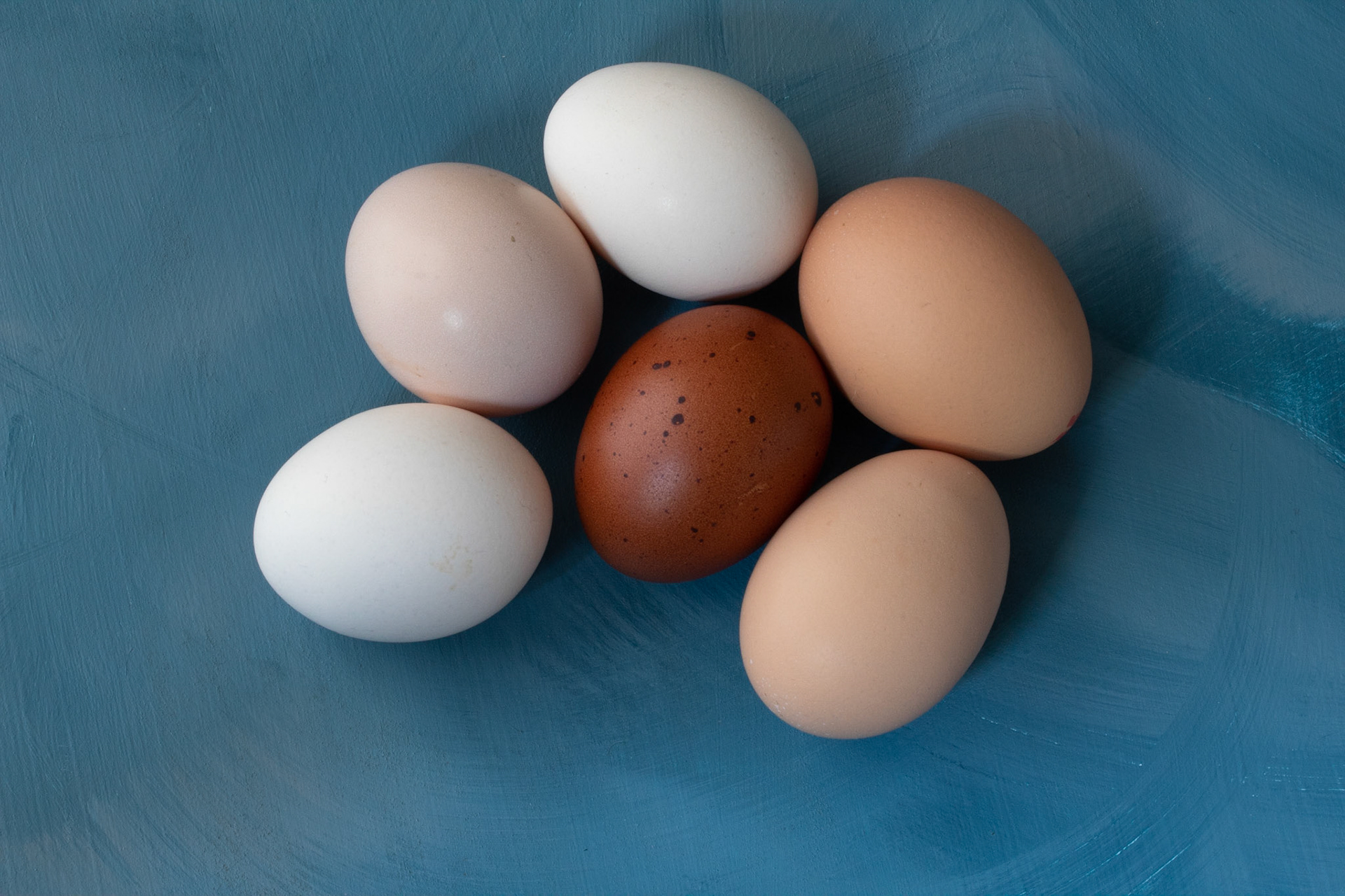 real free range organic eggs from above, developed for @bigswingorganics