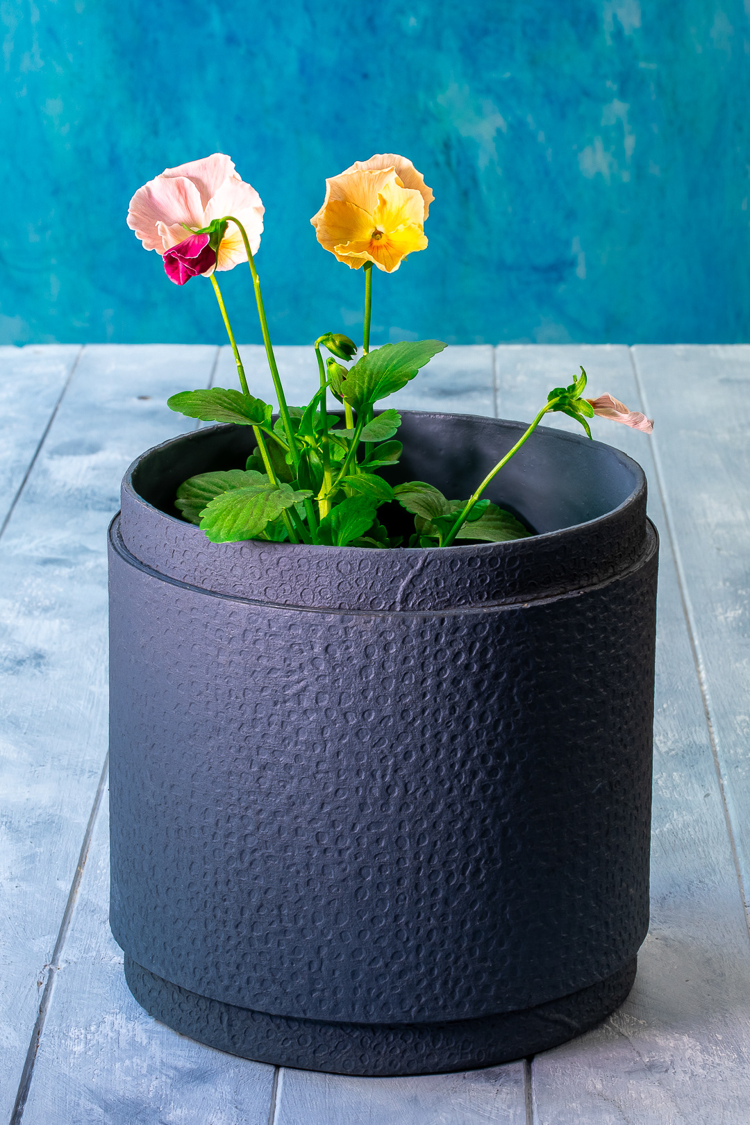 pansies: edible flowers