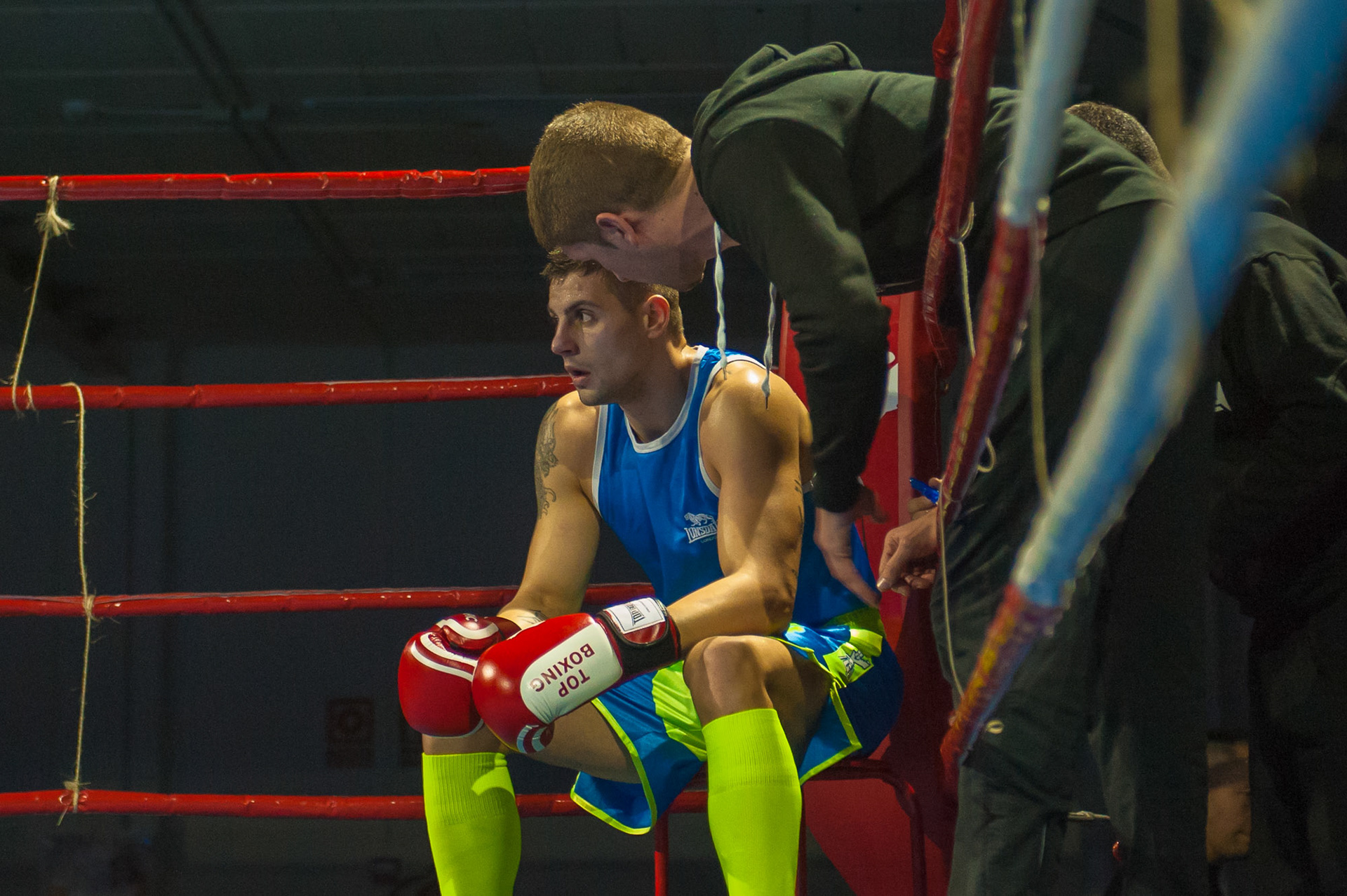 Boxeo