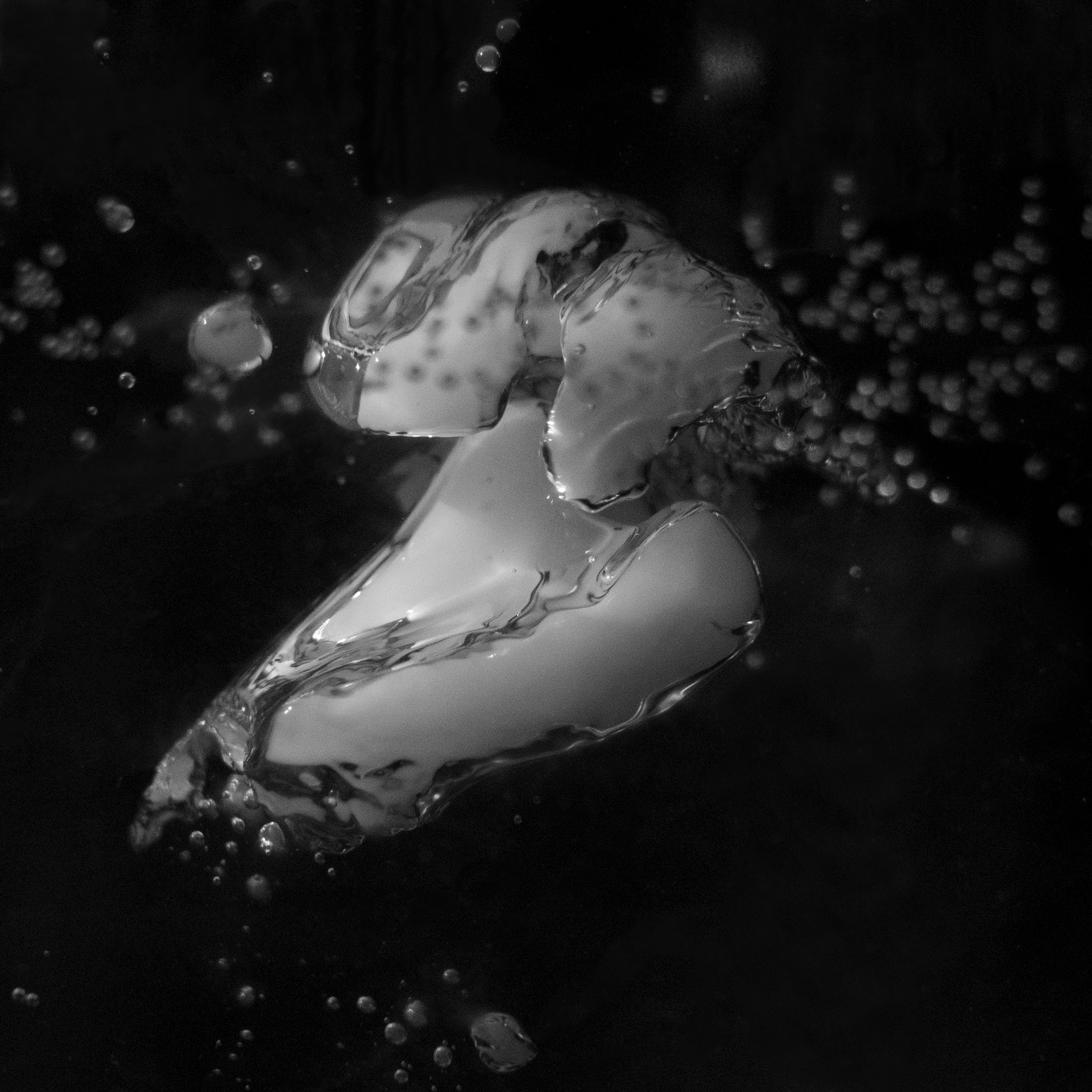 Forms of Water, 2019