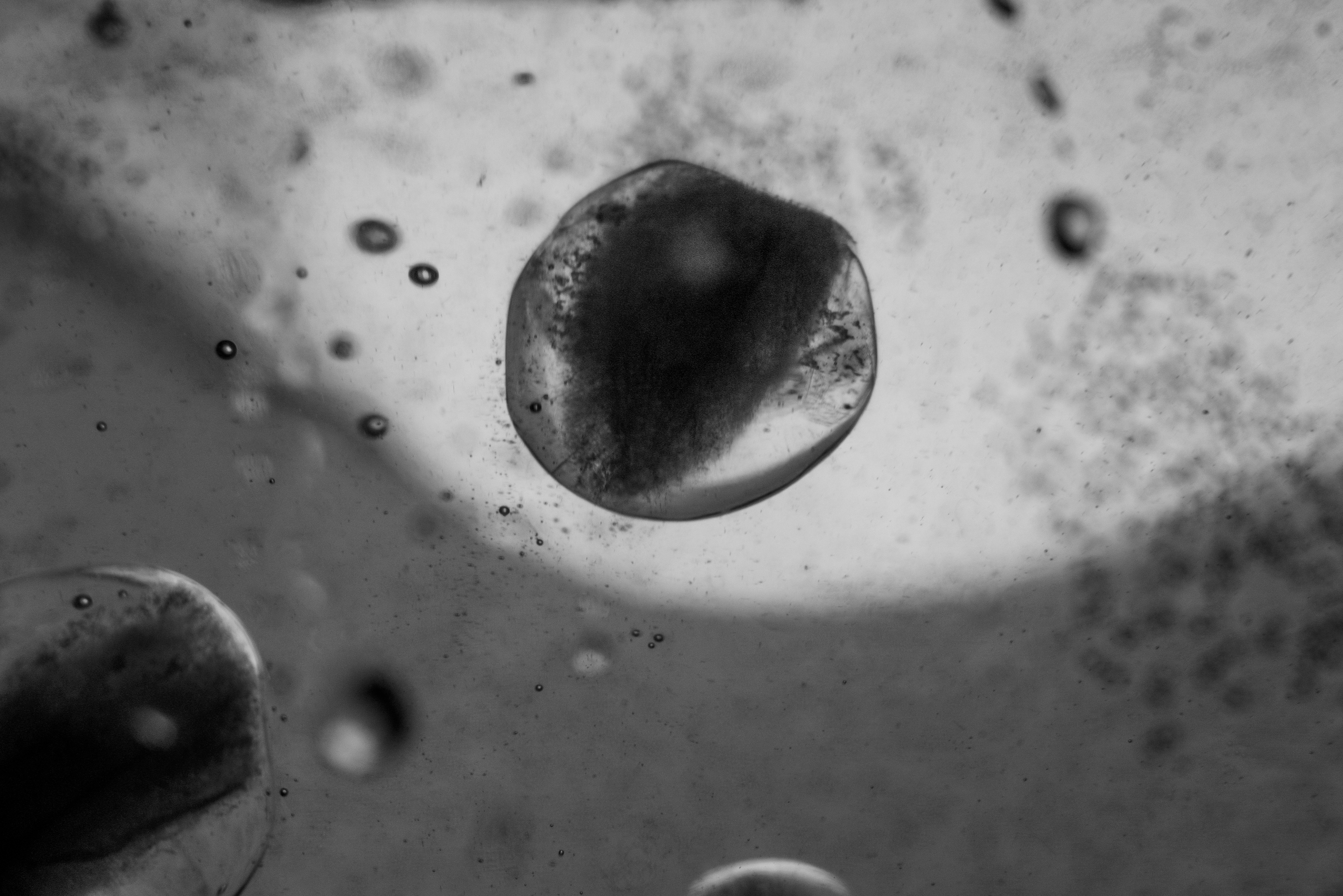 Forms of Water, 2019