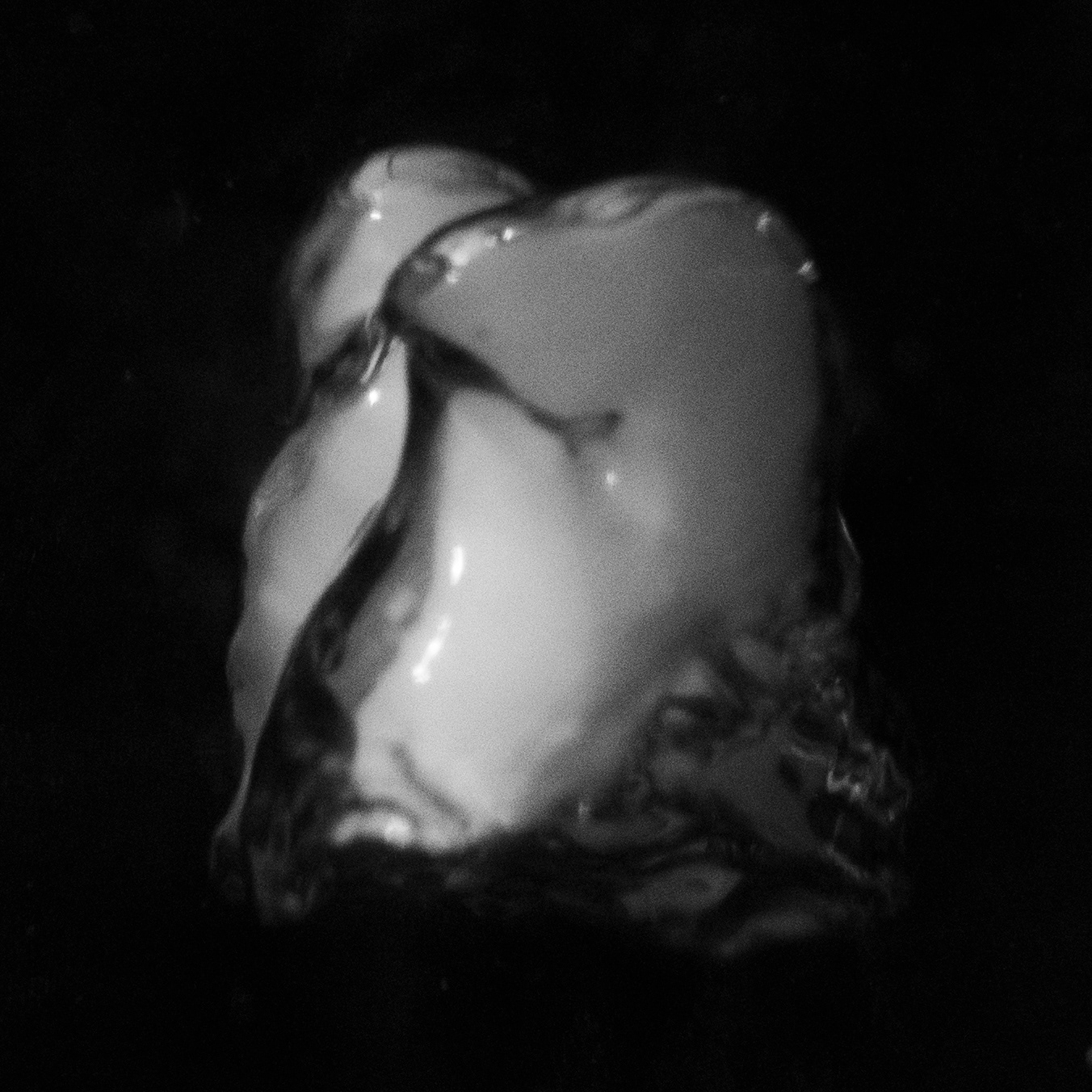 Forms of Water, 2019