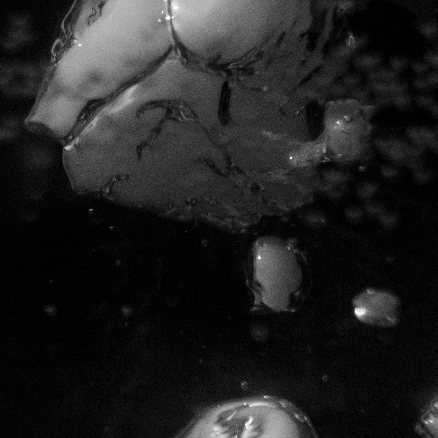 Forms of Water, 2019