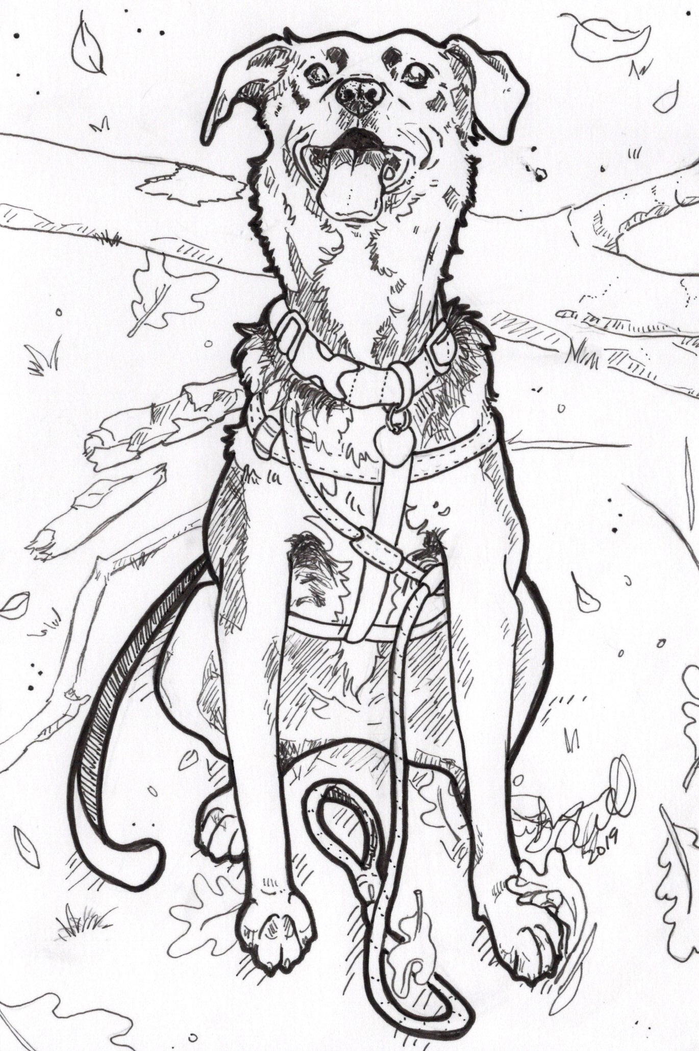 COMMISSION- SOLD