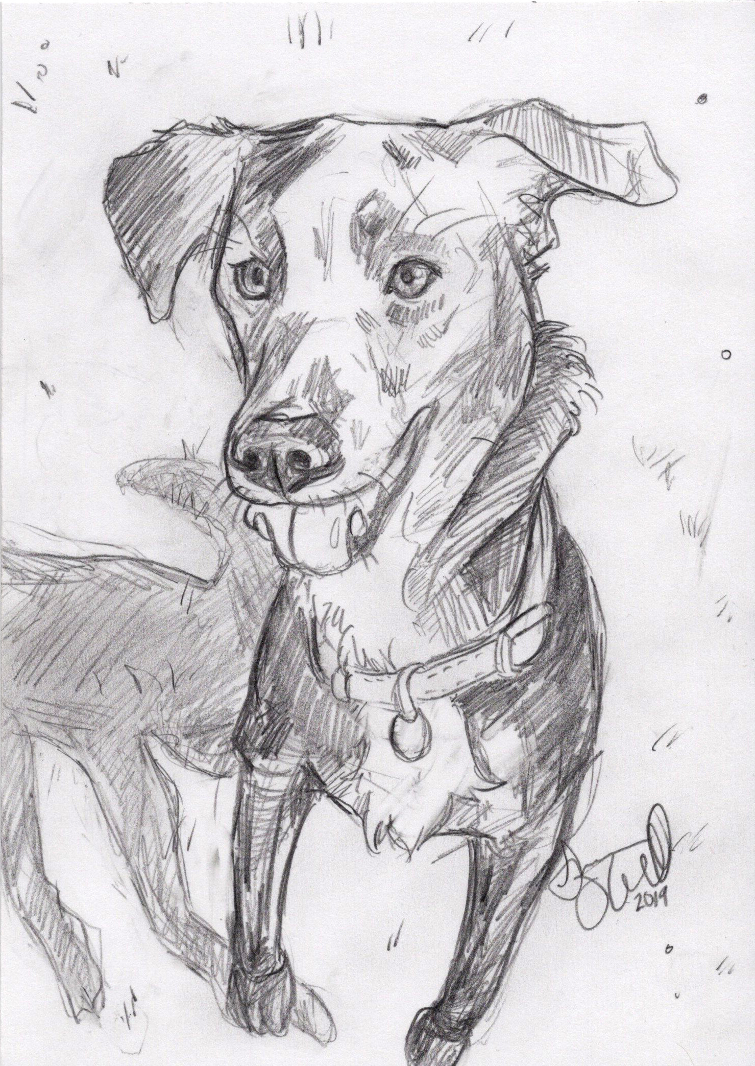 COMMISSION - SOLD