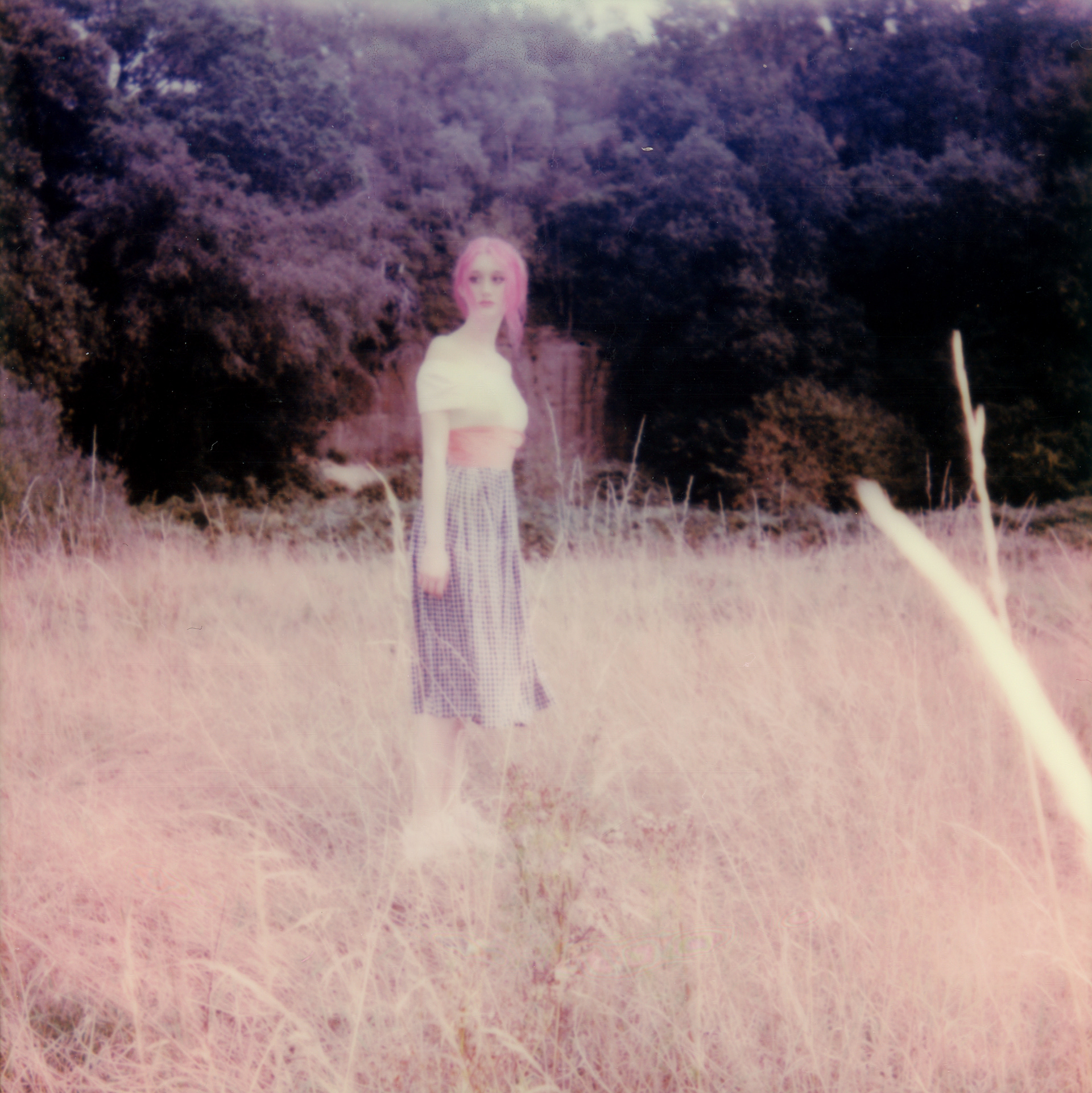 Field of Dreams • 2021