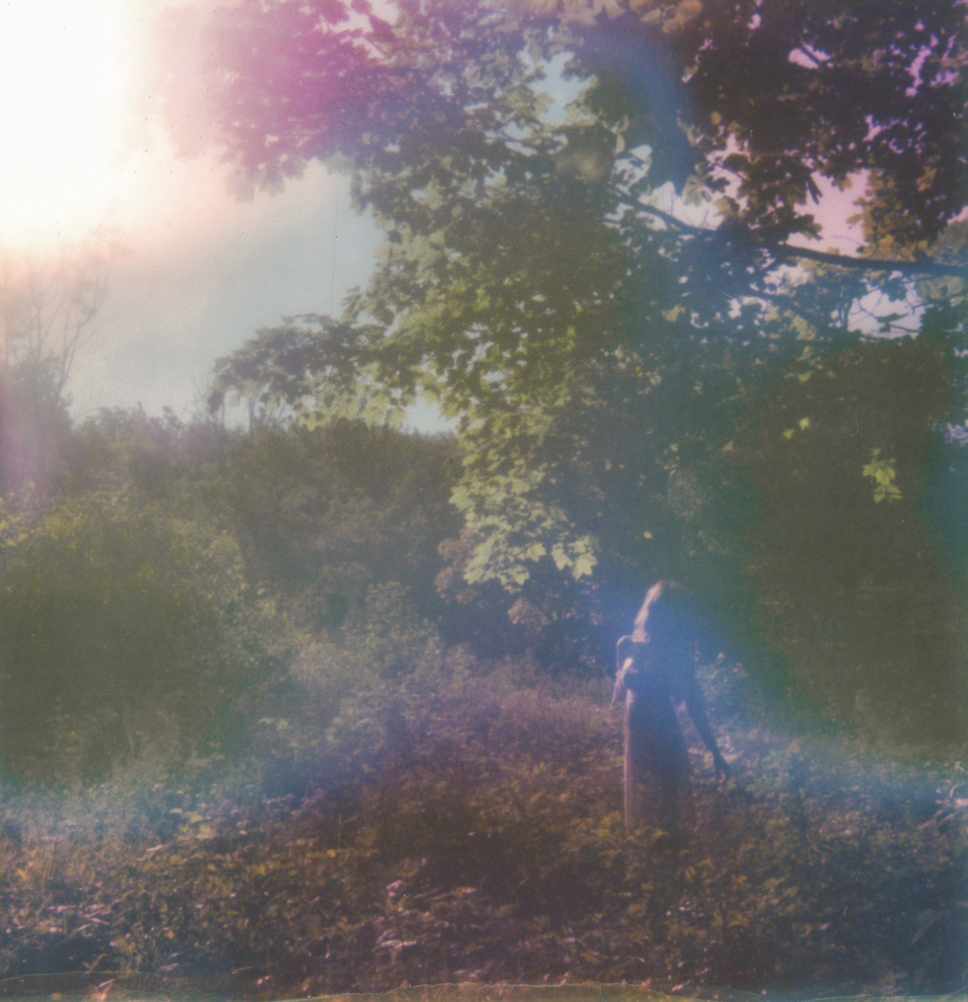 Rainbow Vision • 2023