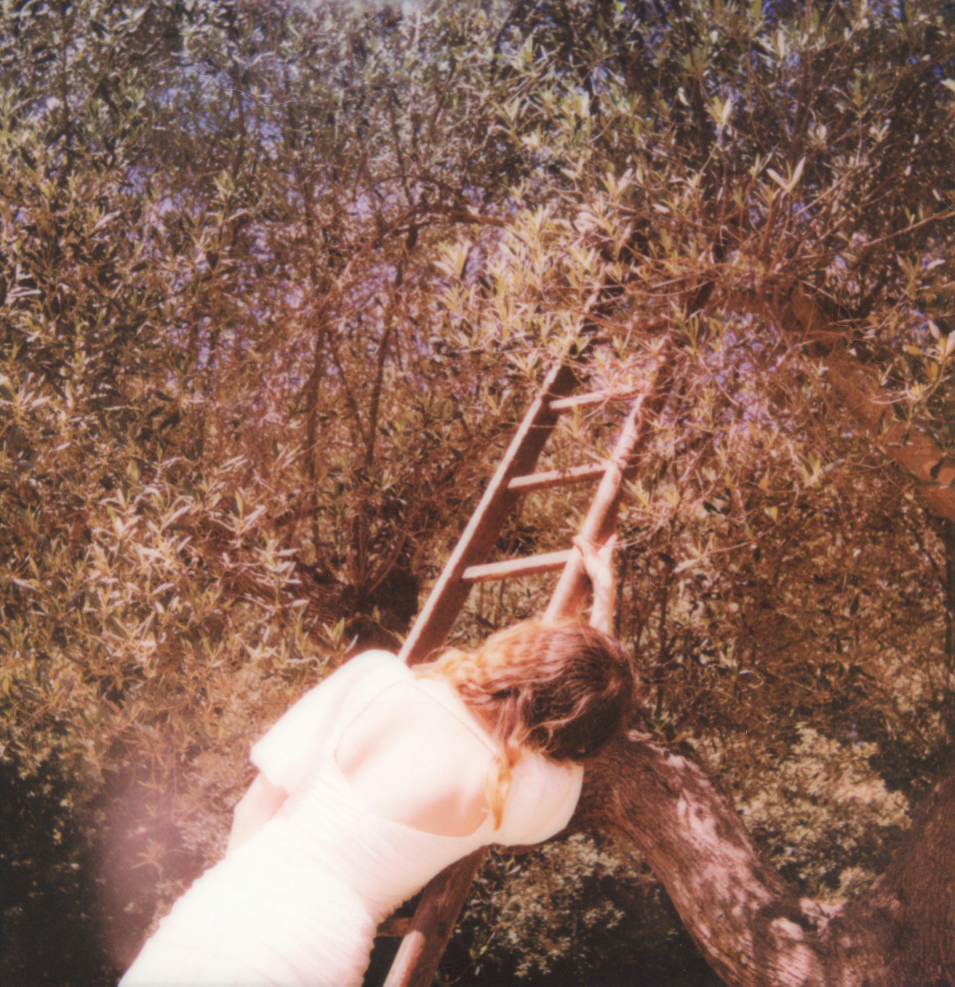 A Staggered Ascent • 2022