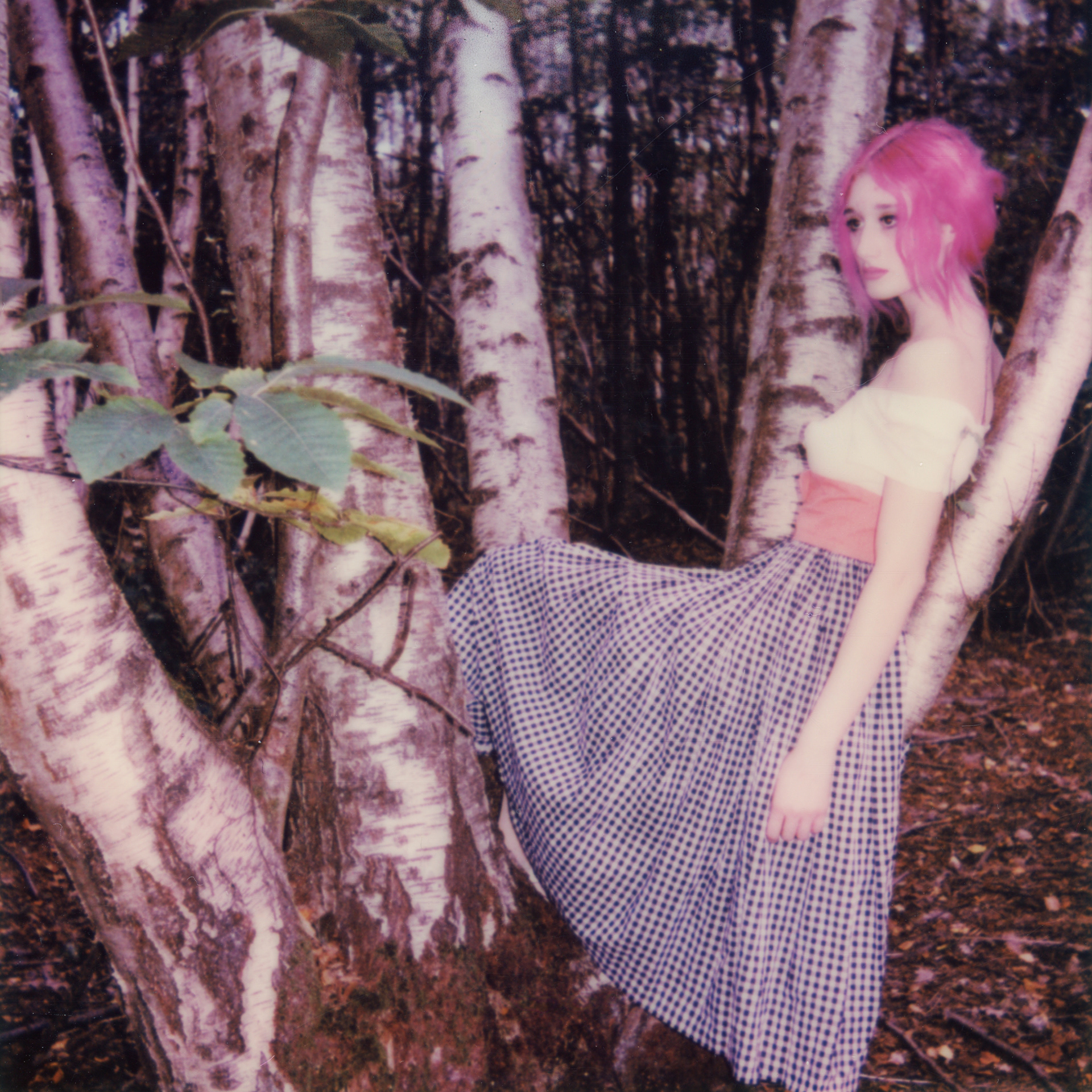 Field of Dreams • 2021