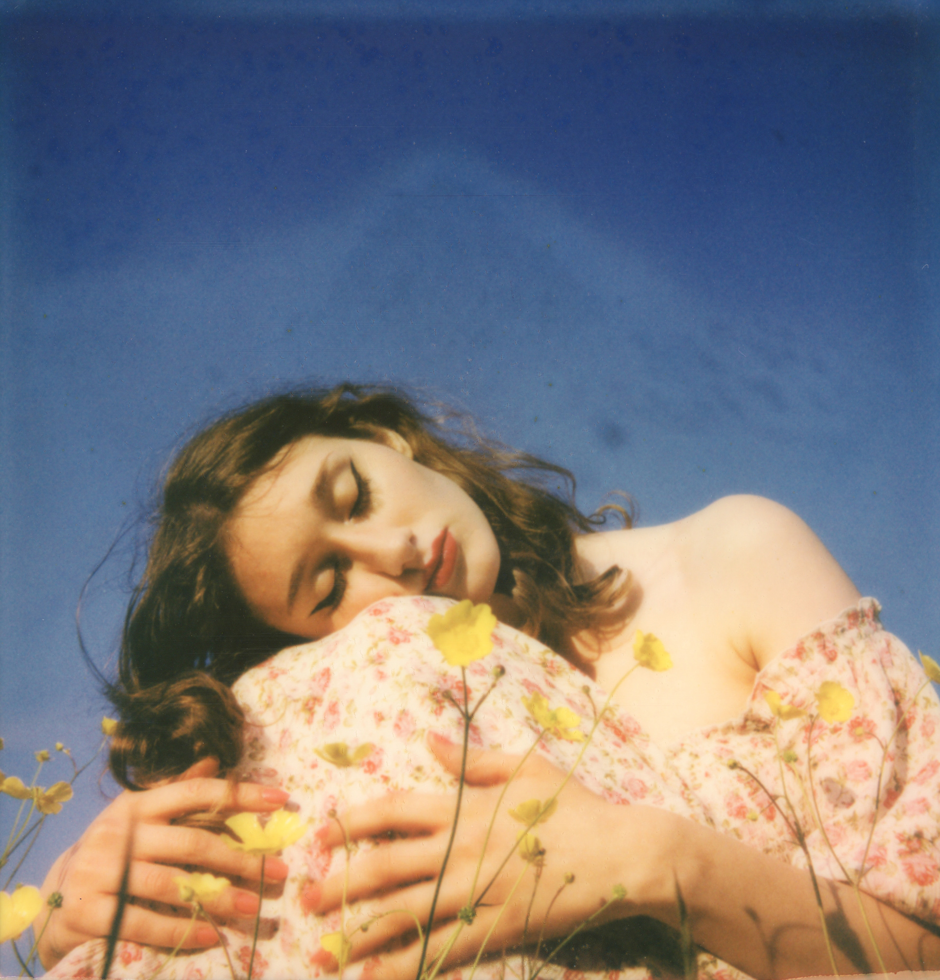 Mountain Dreaming • 2023