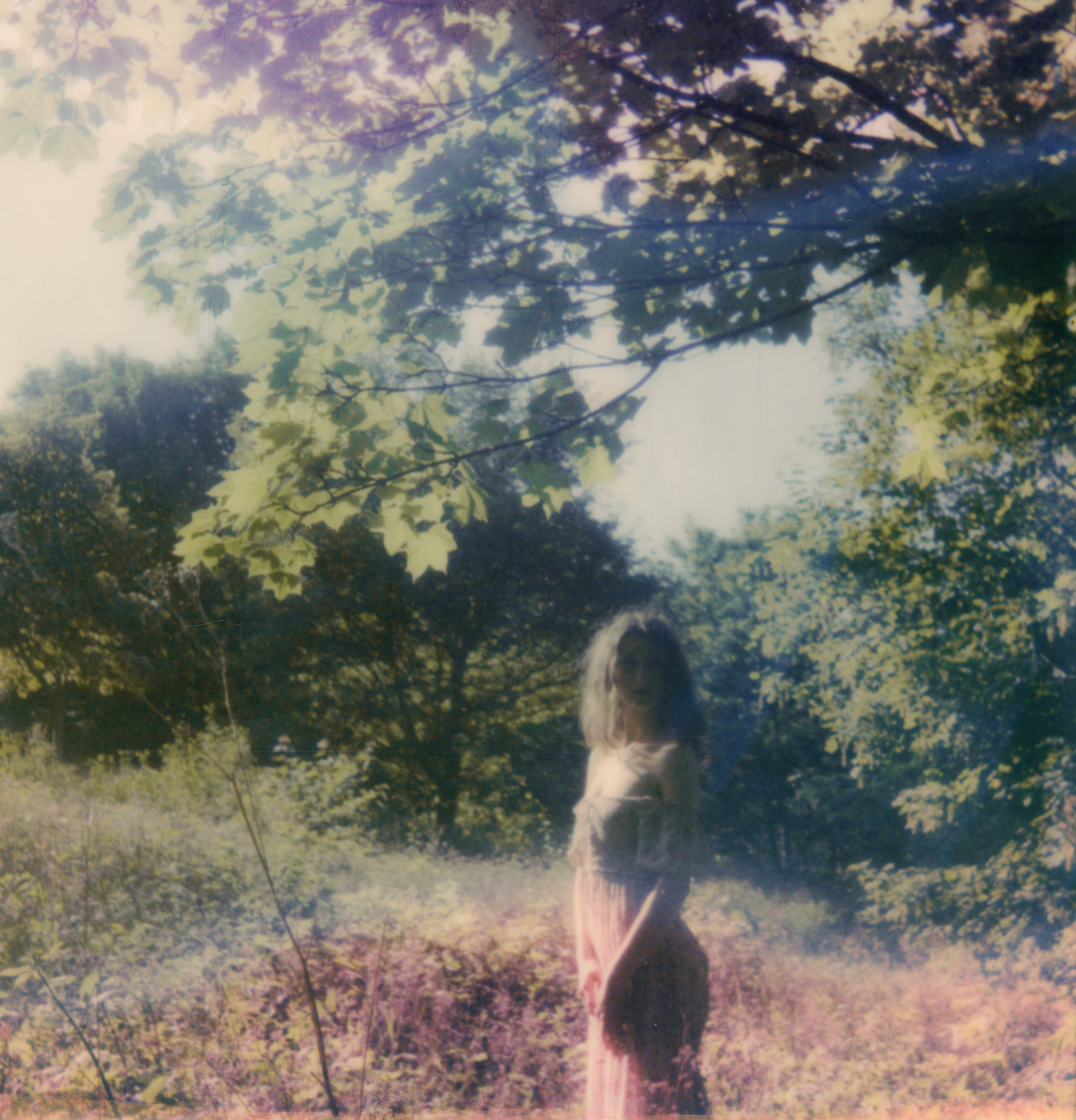 Rainbow Vision • 2023