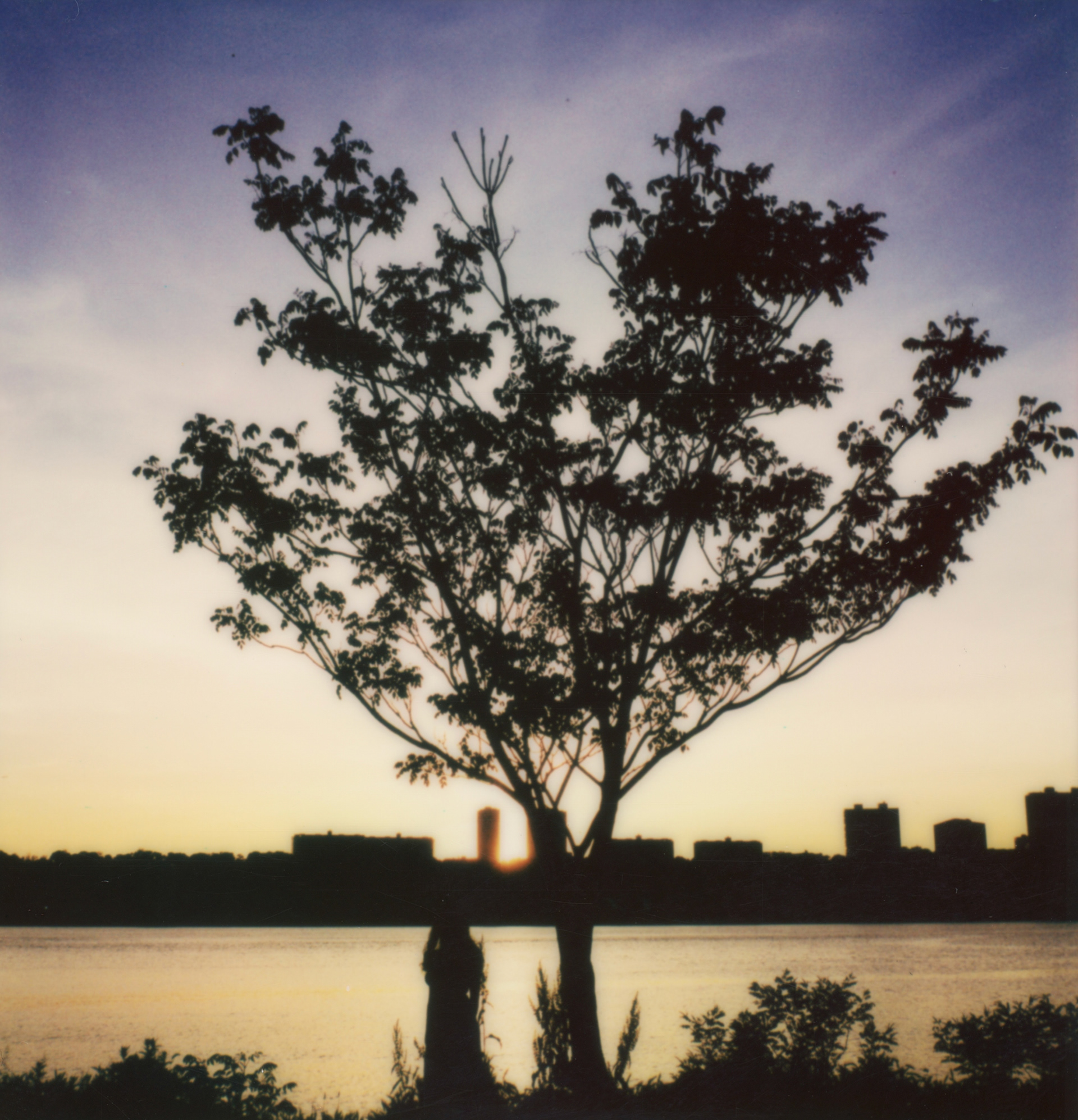 Hudson River • 2024