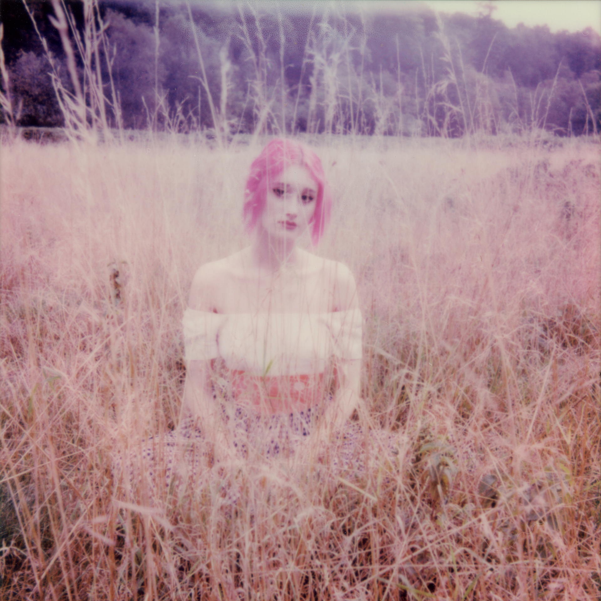 Field of Dreams • 2021