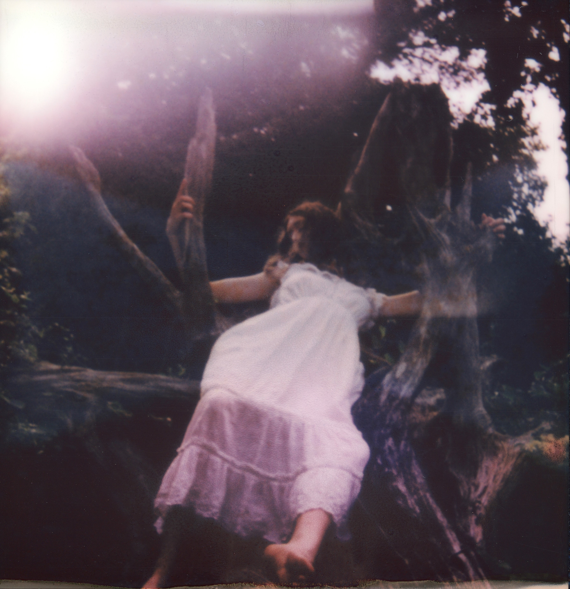 August Light • 2023