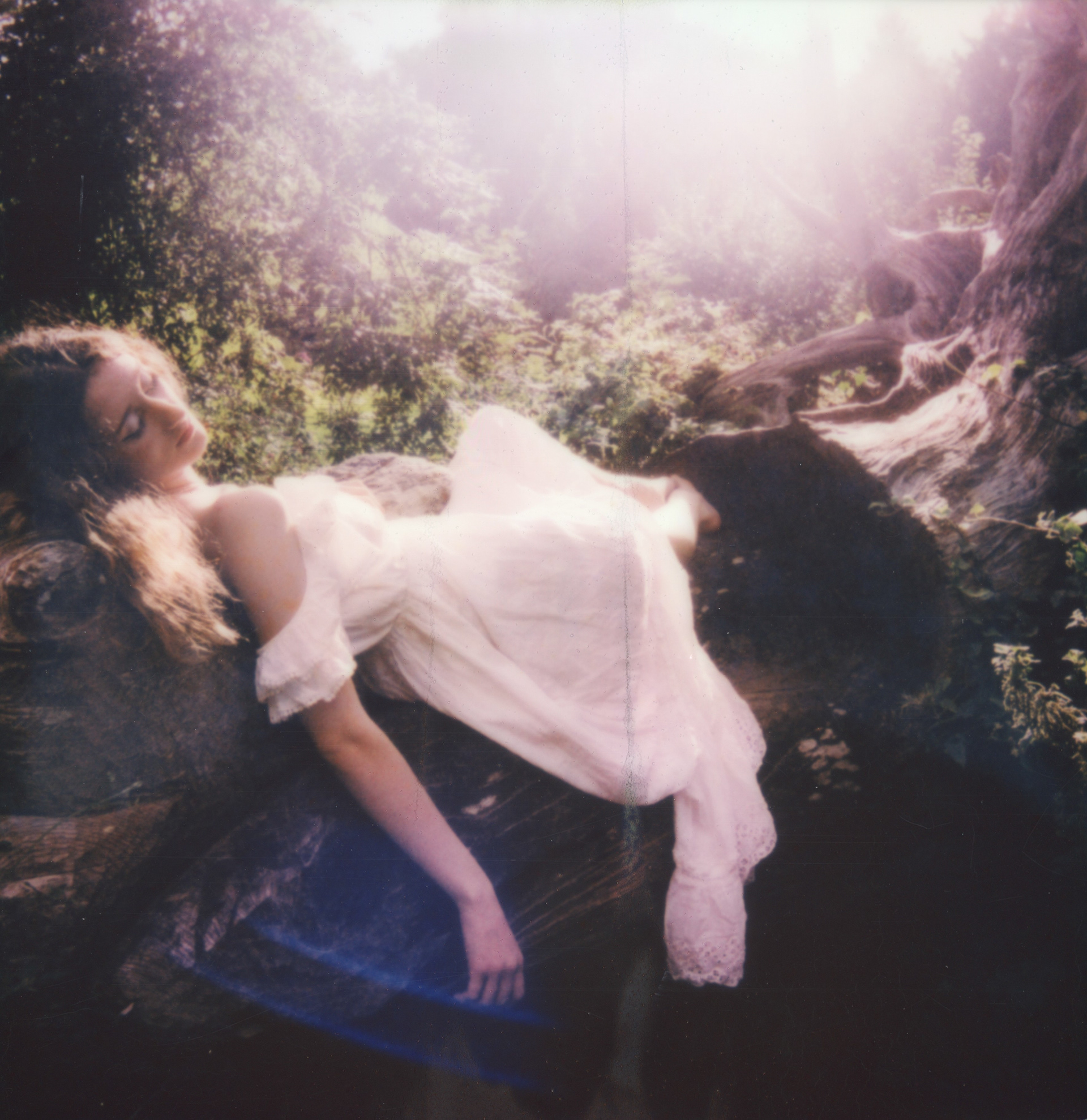 August Light • 2023