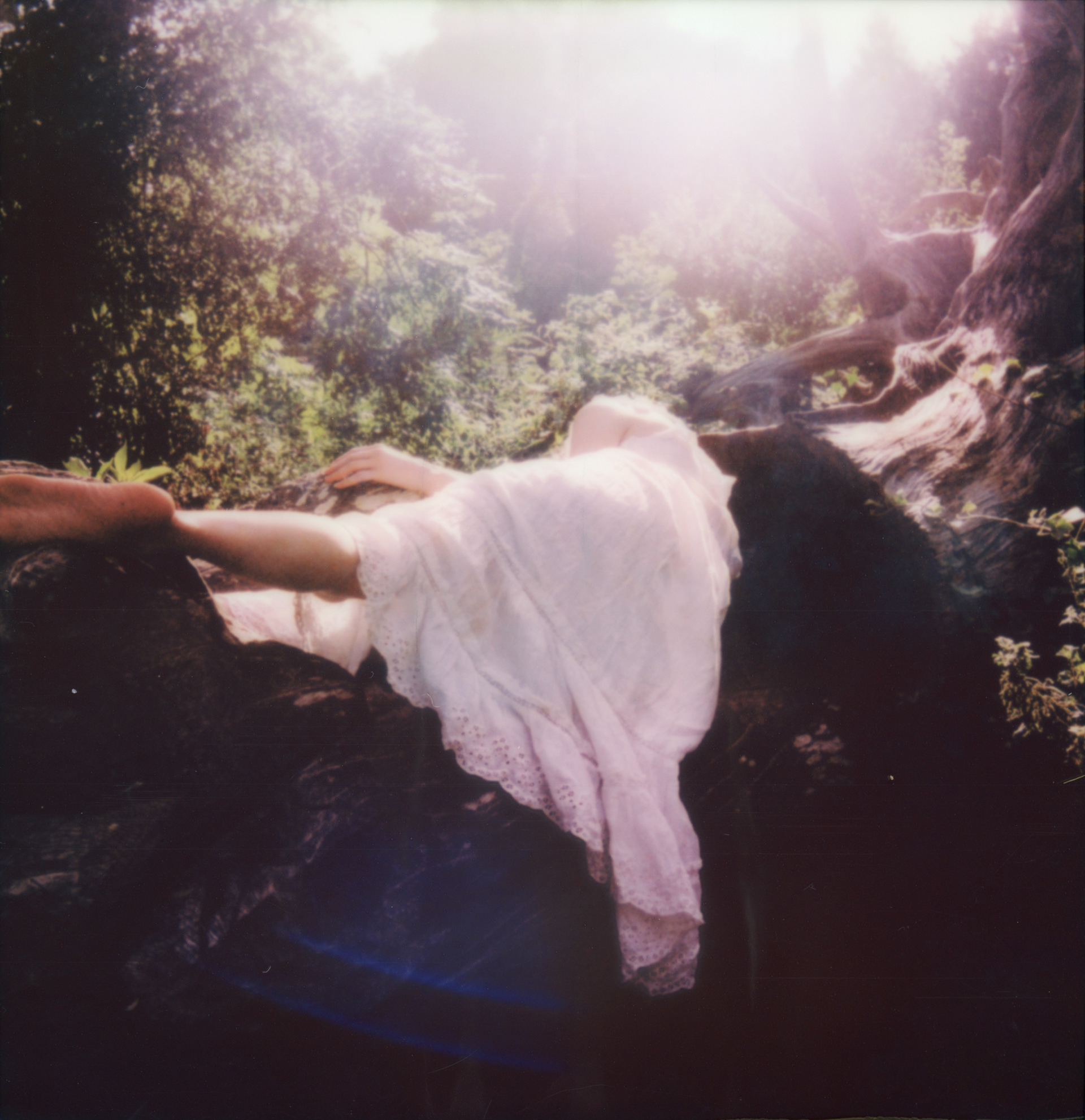 August Light • 2023