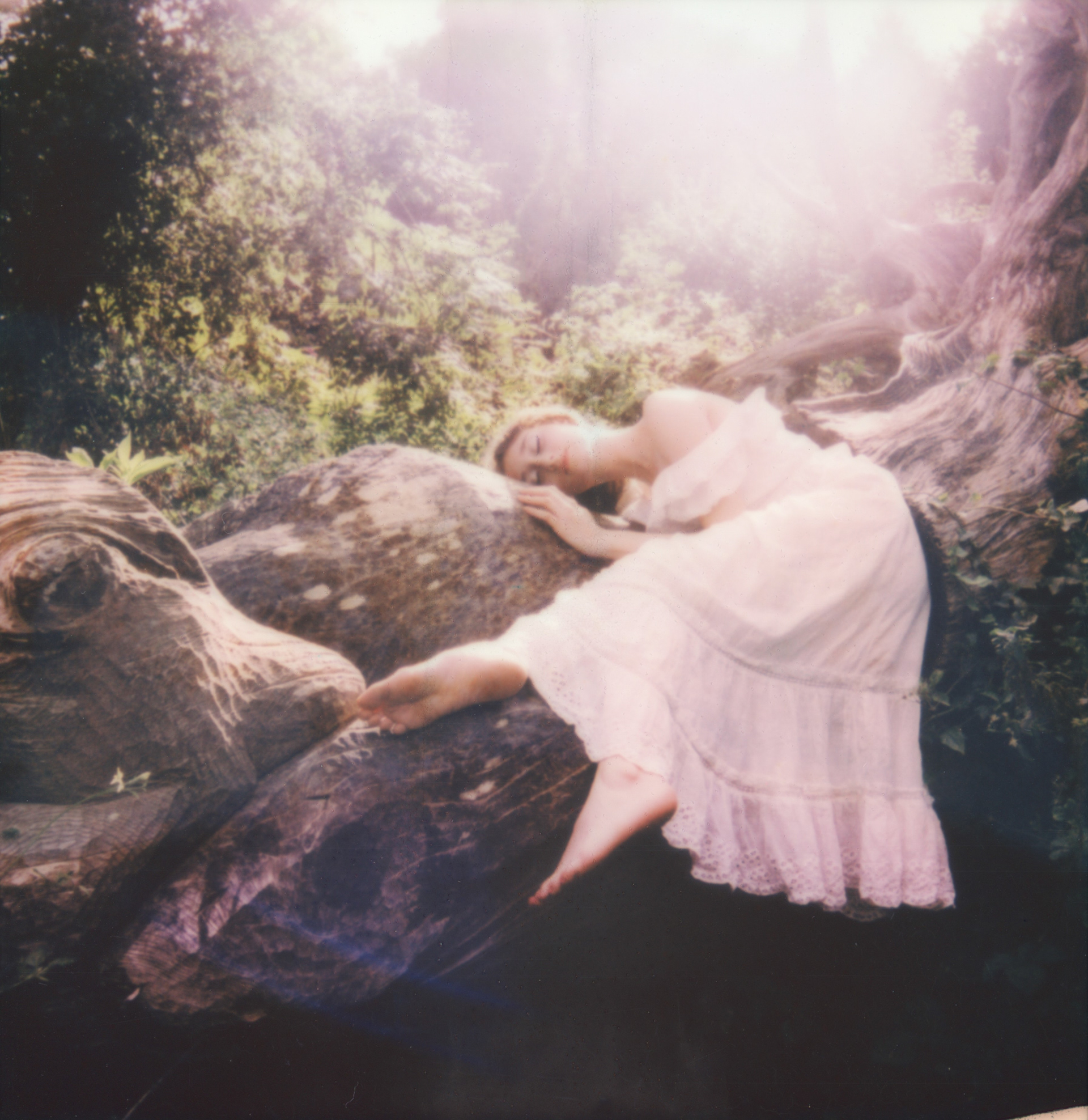 August Light • 2023