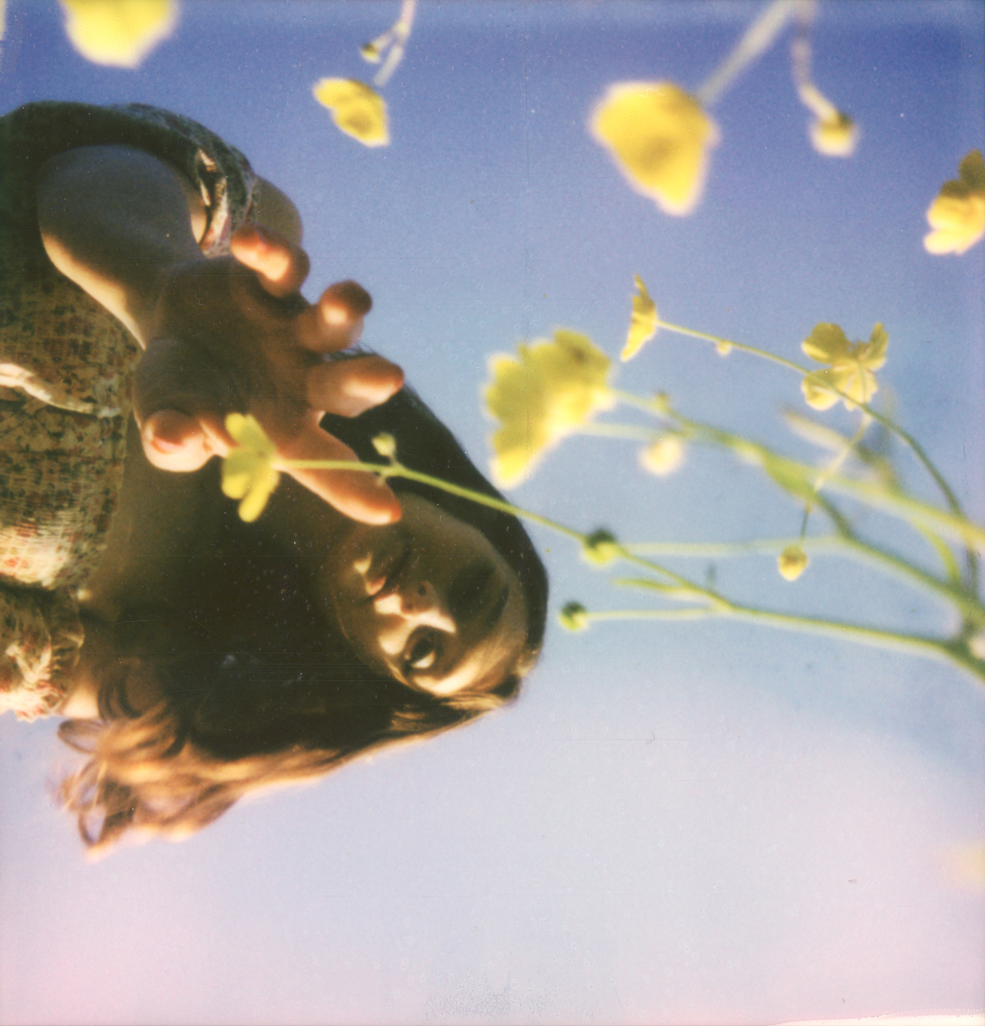 The Sky Beckons • 2023