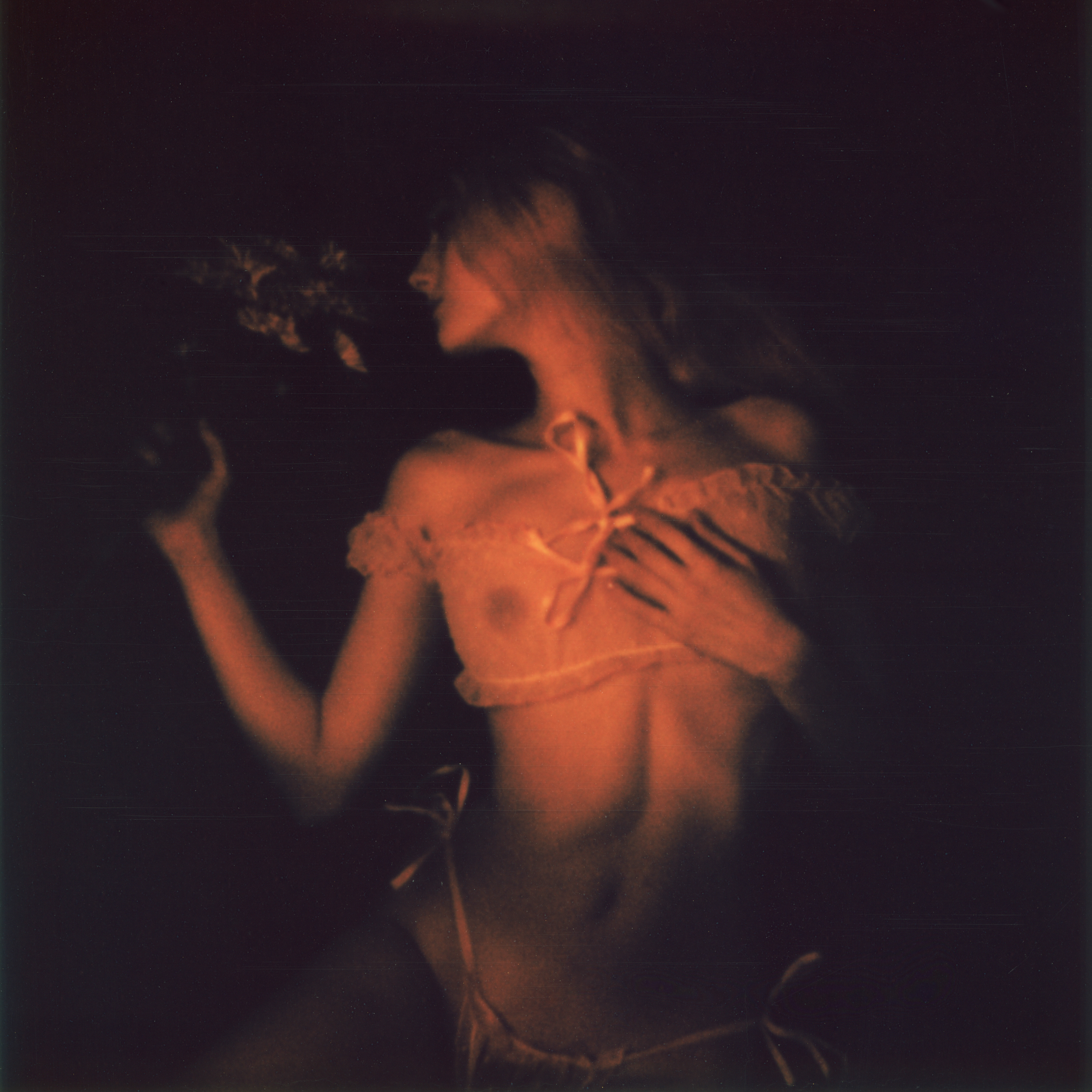 In Bloom III • 2022