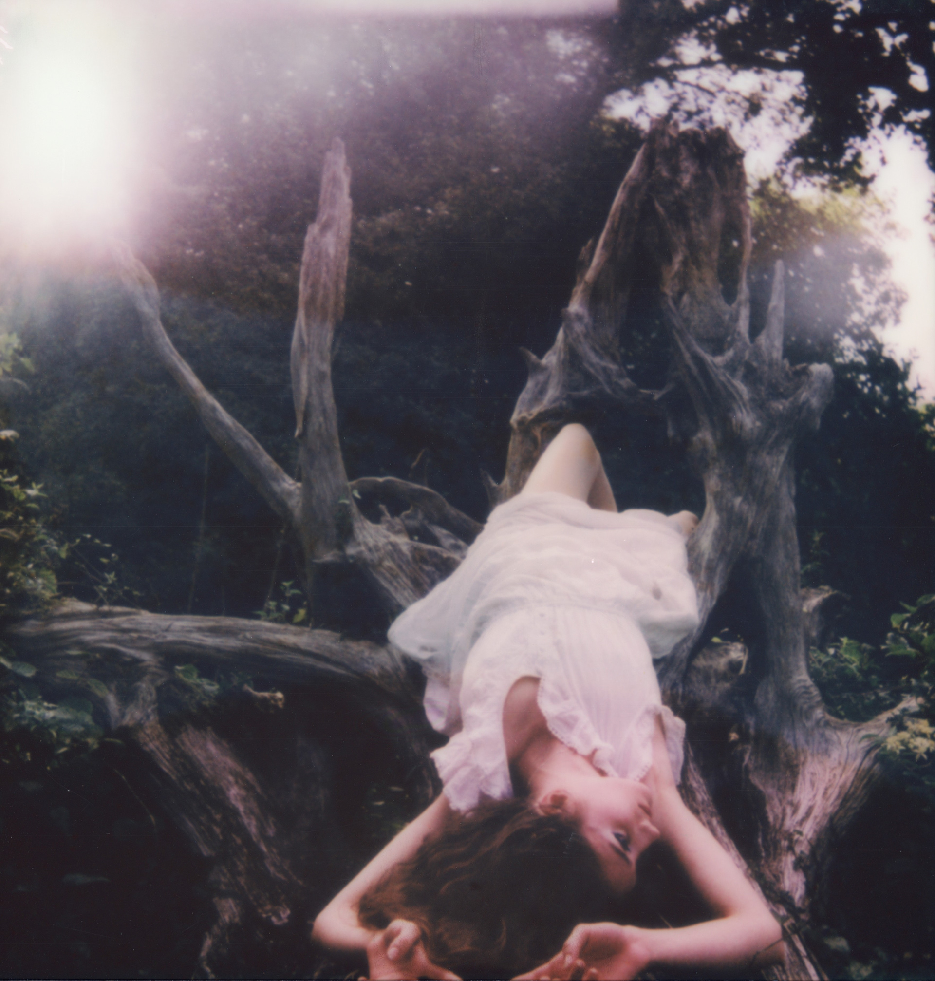 August Light • 2023