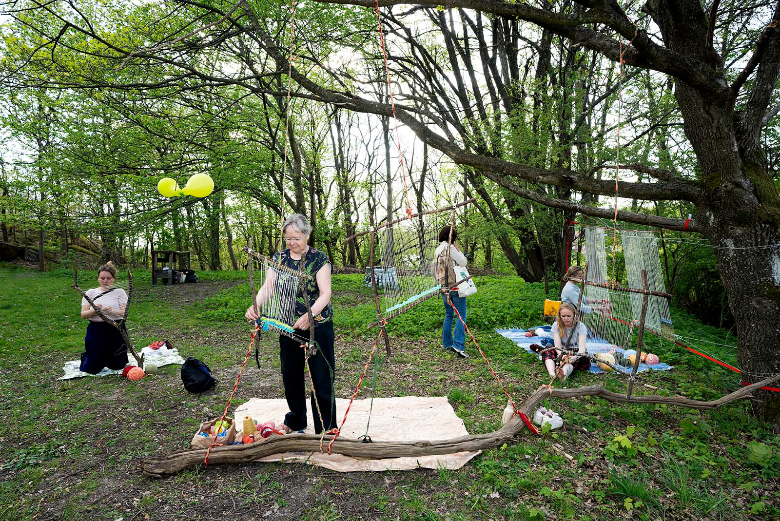 Foto Johan Wingborg