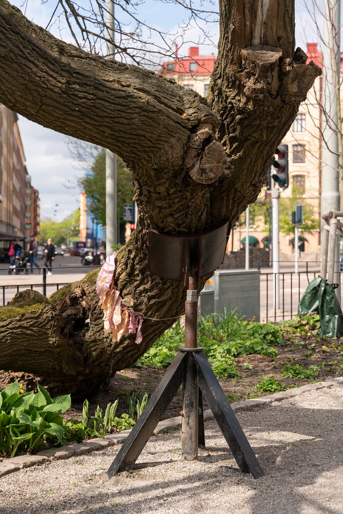 Foto Sebastian Waldenby