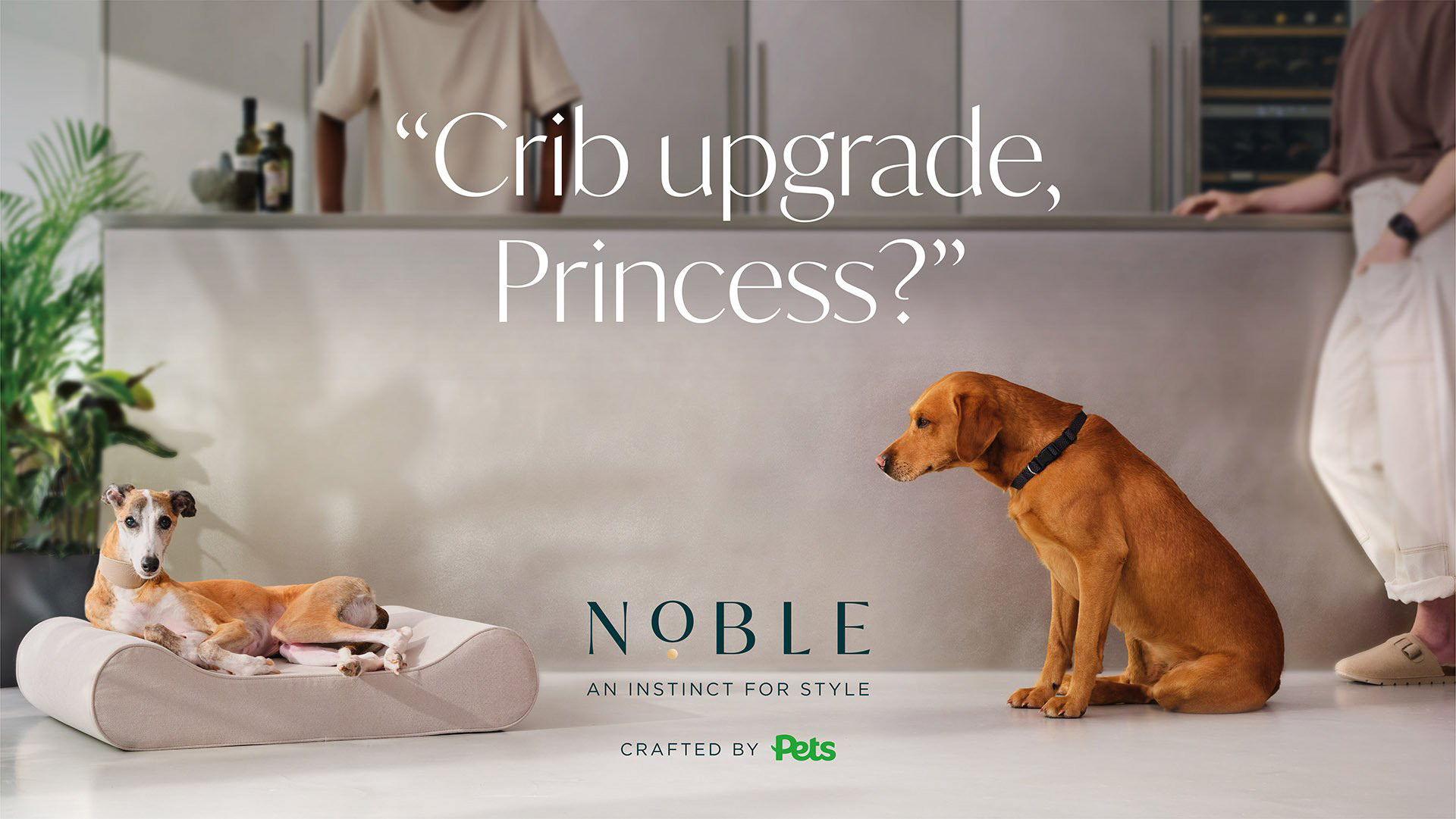 Photography by Angus McDonald