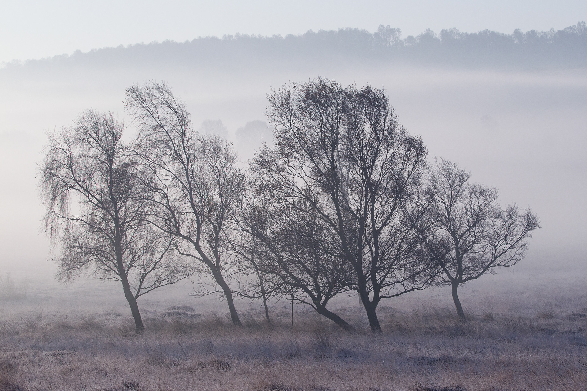 Leash Fen, Derbyshire 2017