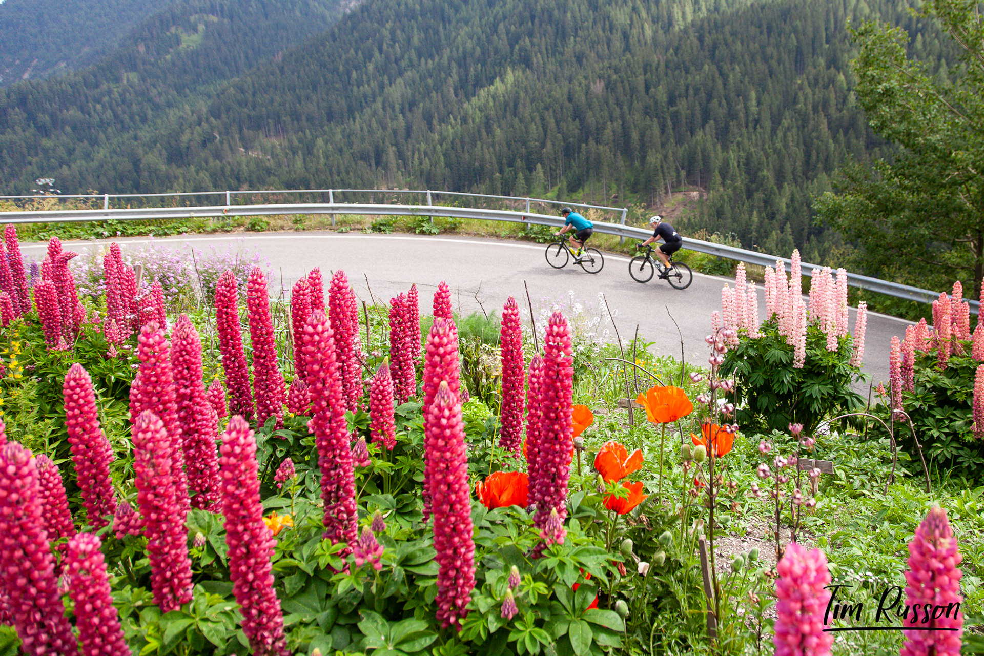 Passo Campalongo