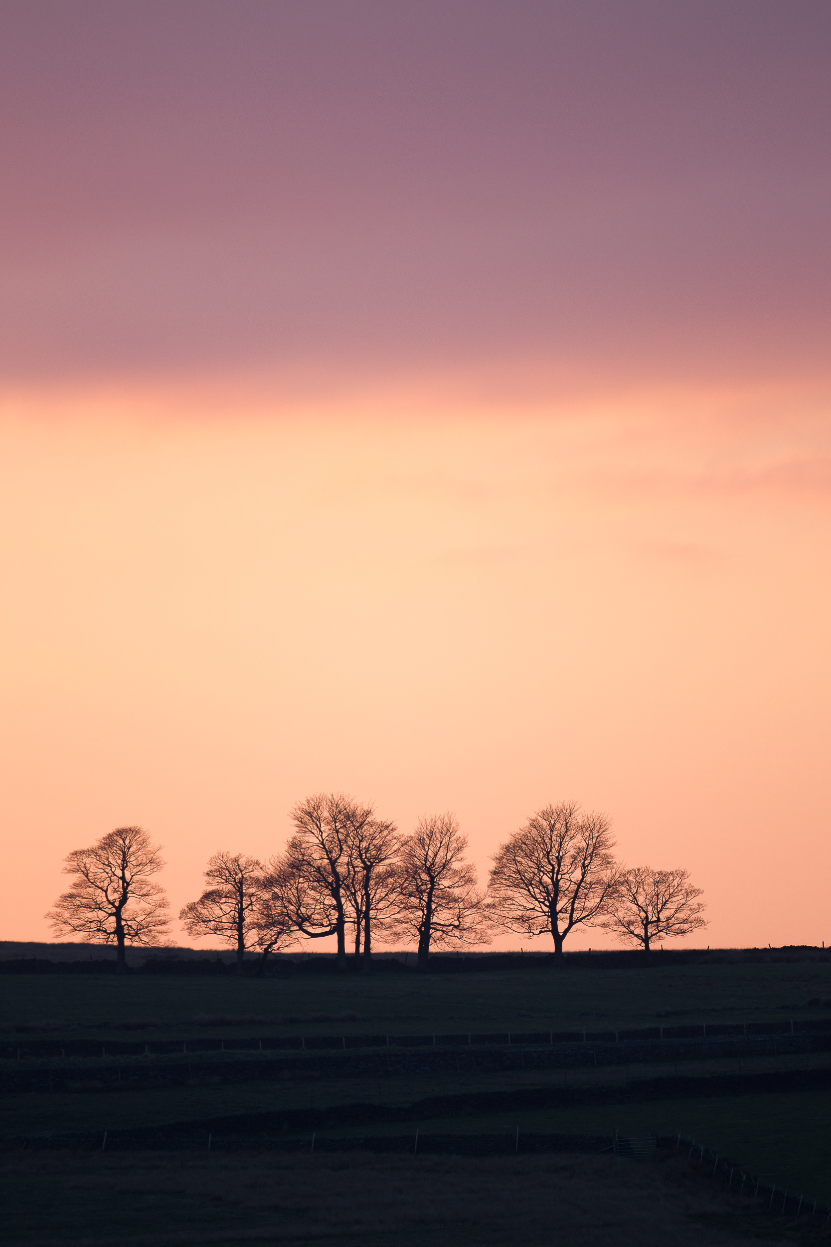 Redmires, Derbyshire 2019
