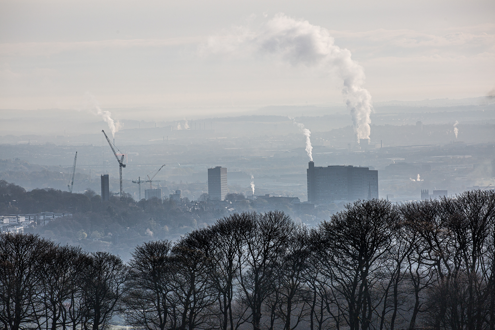 Sheffield, 2021