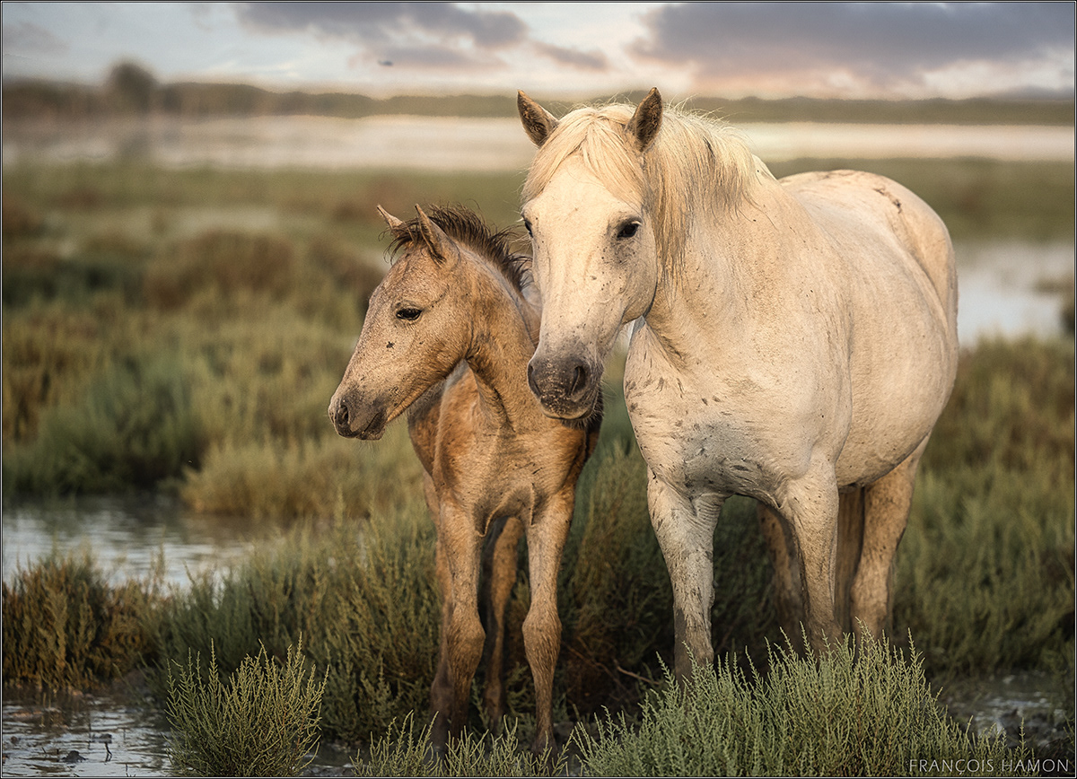 Mother and Child reunion