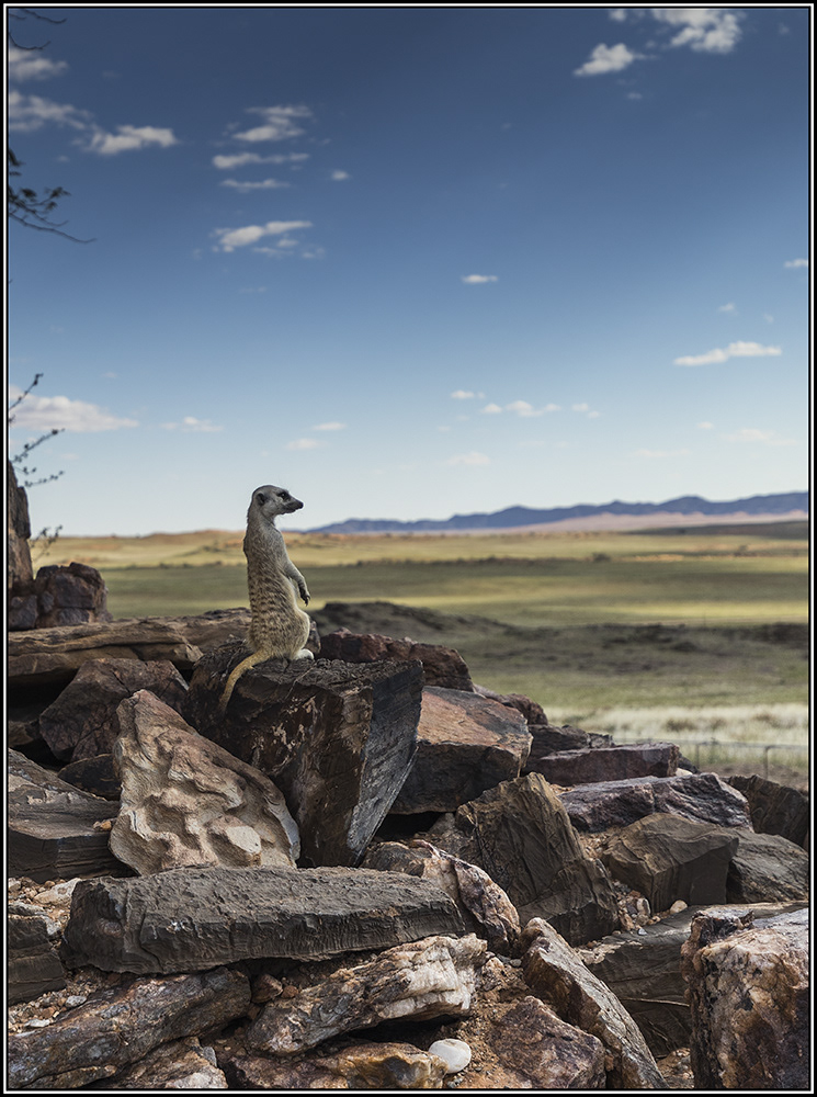 Winter is coming....