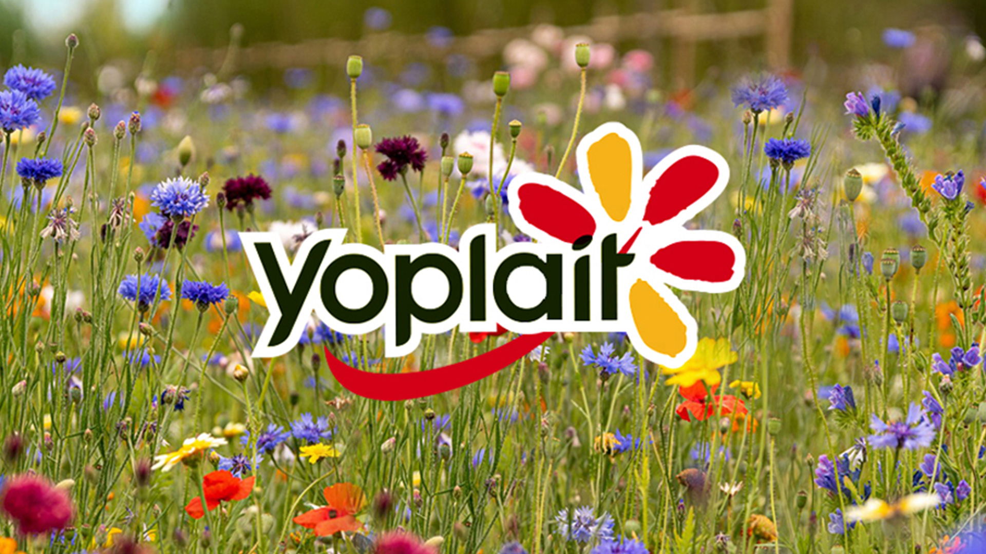 Agency: Team Créatif