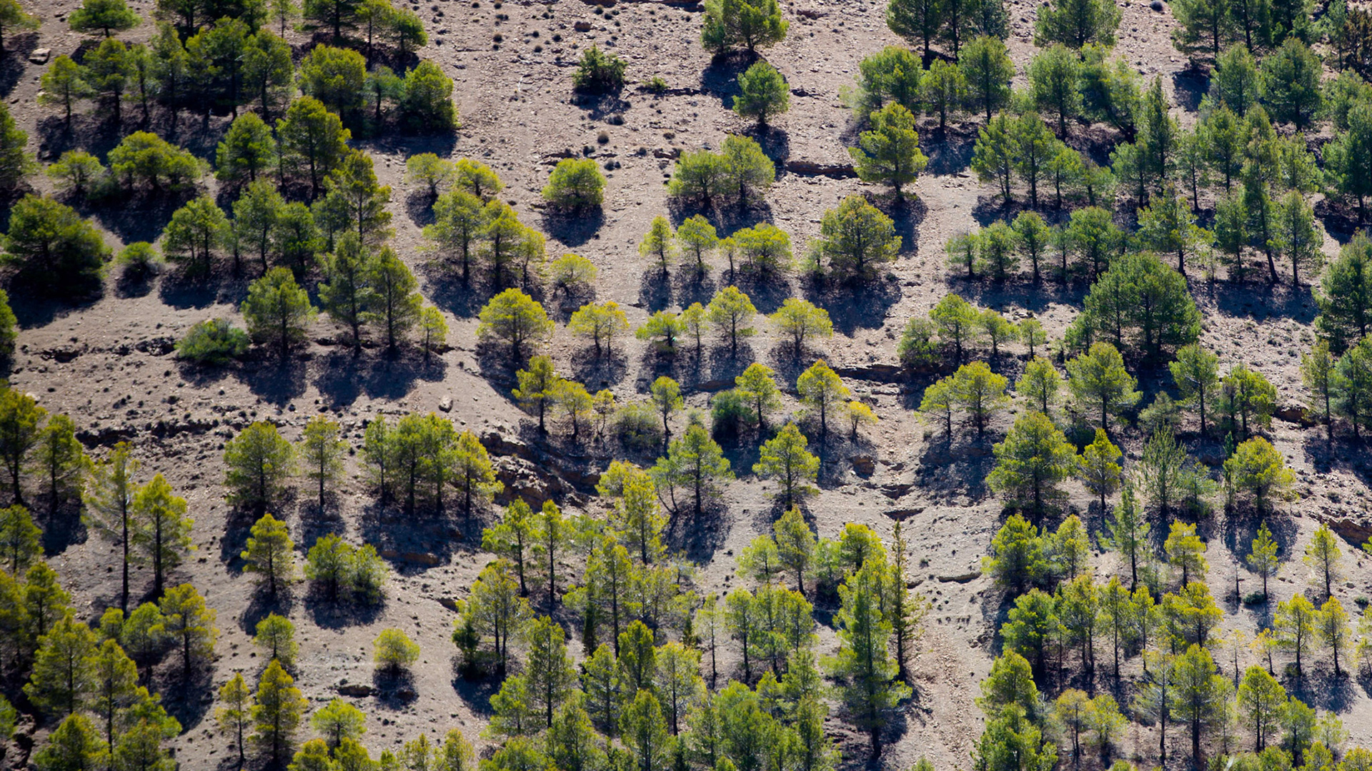 Atlas Mountains, Morocco
