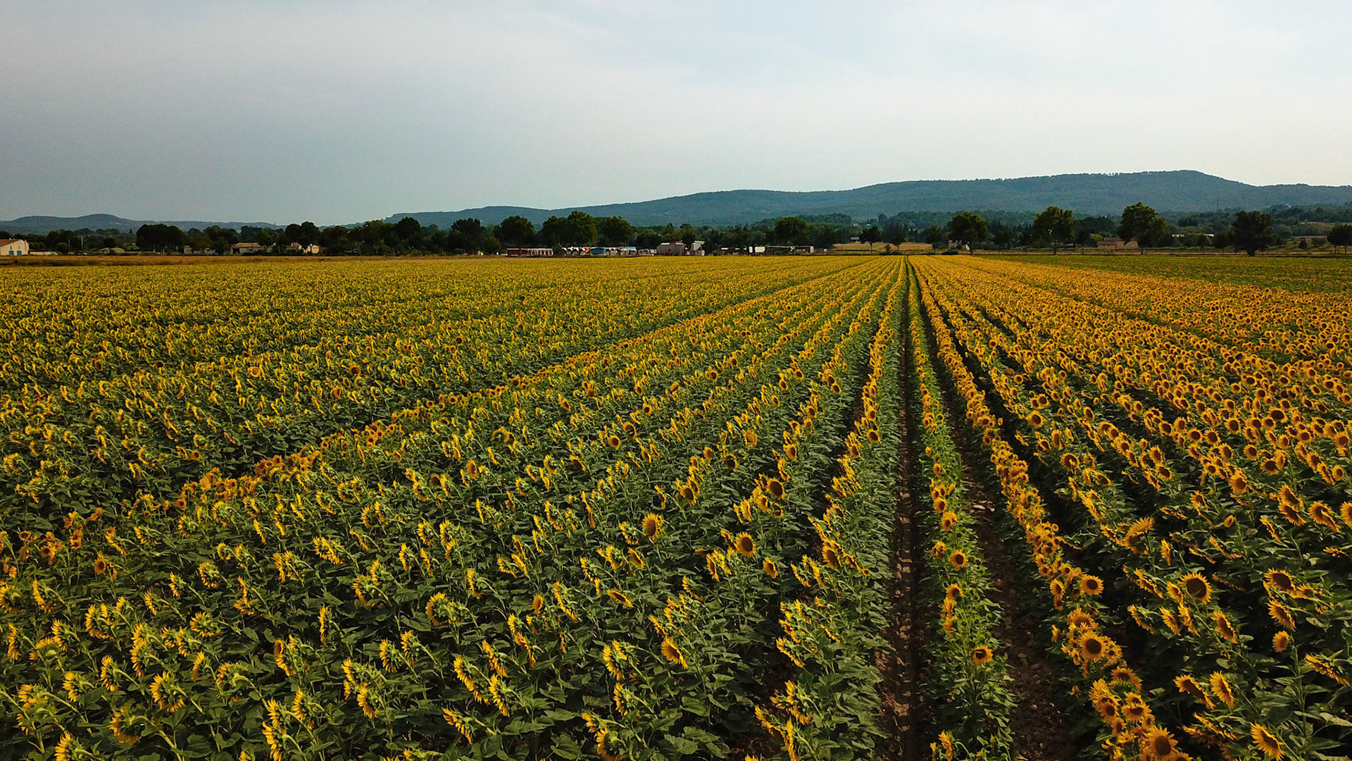 Drone Shot, Aix-en-Provence, France