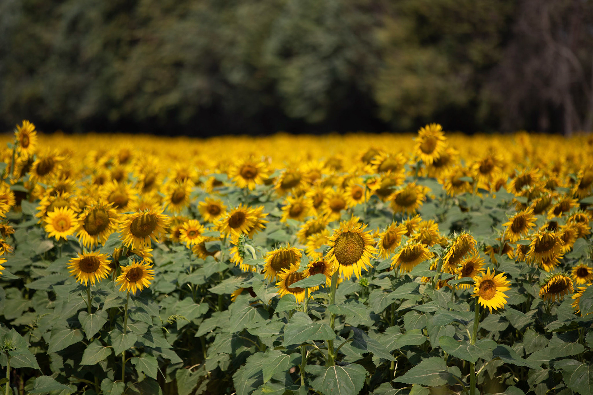 Aix-en-Provence, France
