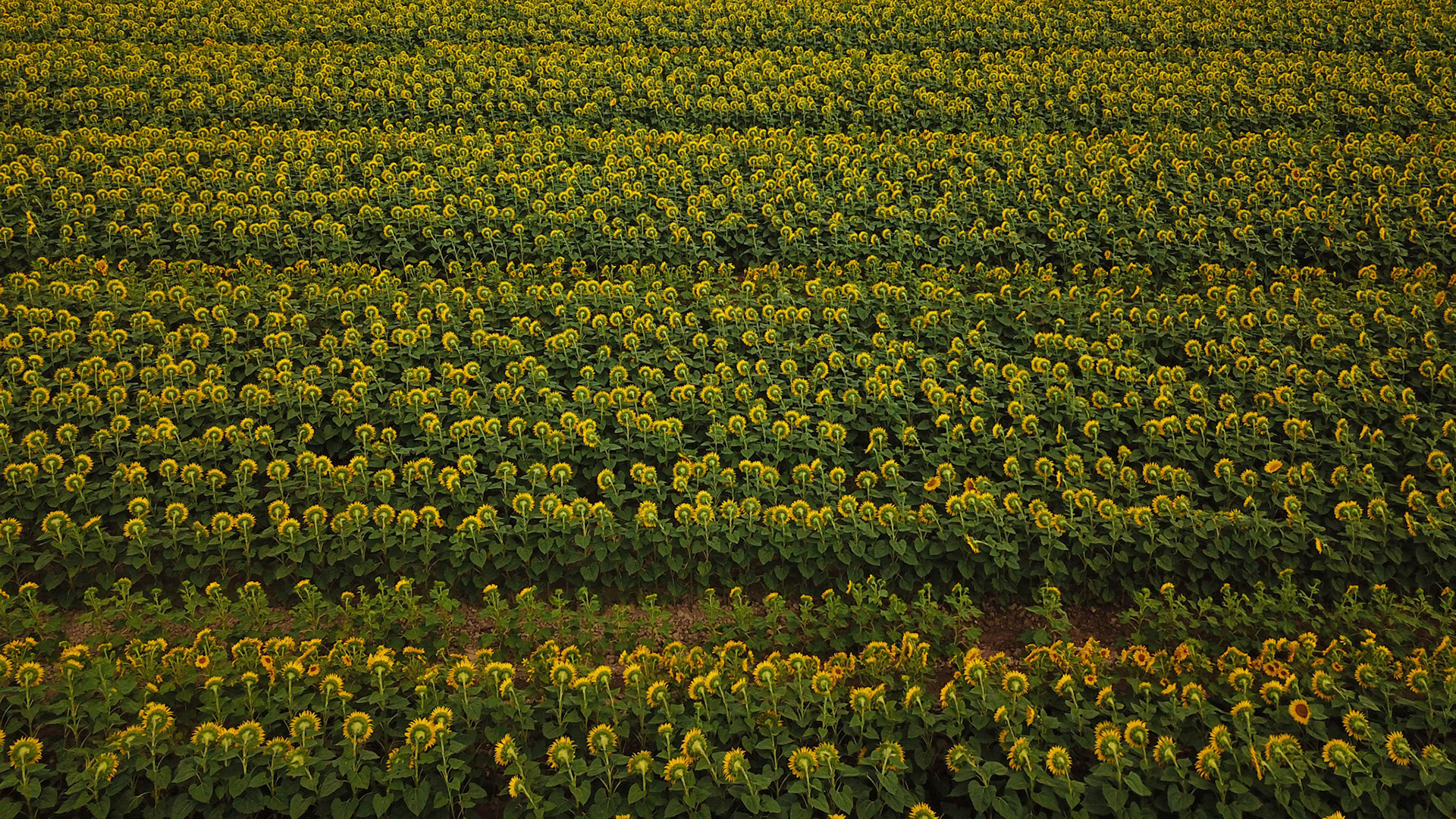 Drone Shot, Aix-en-Provence, France