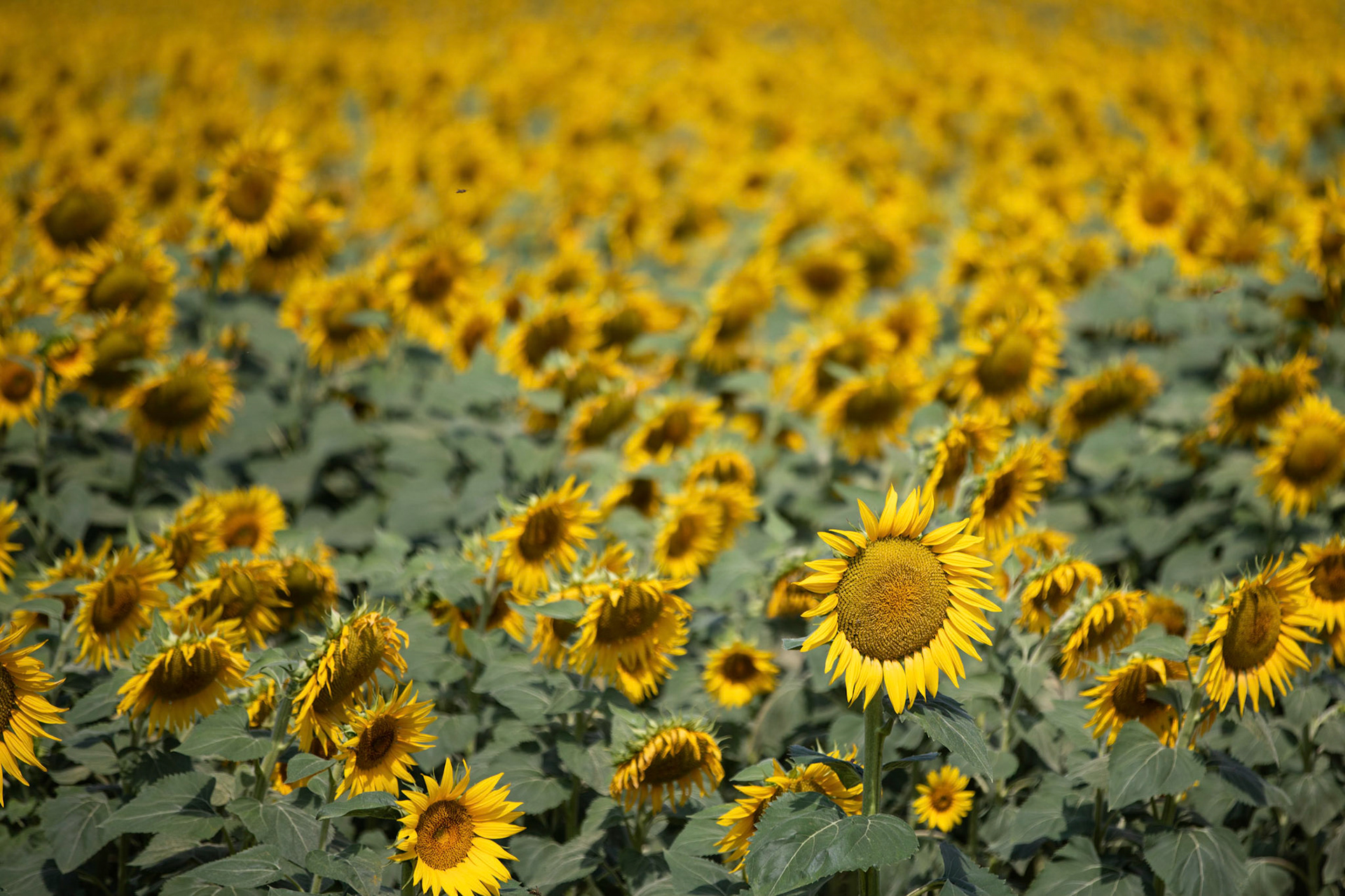 Aix-en-Provence, France
