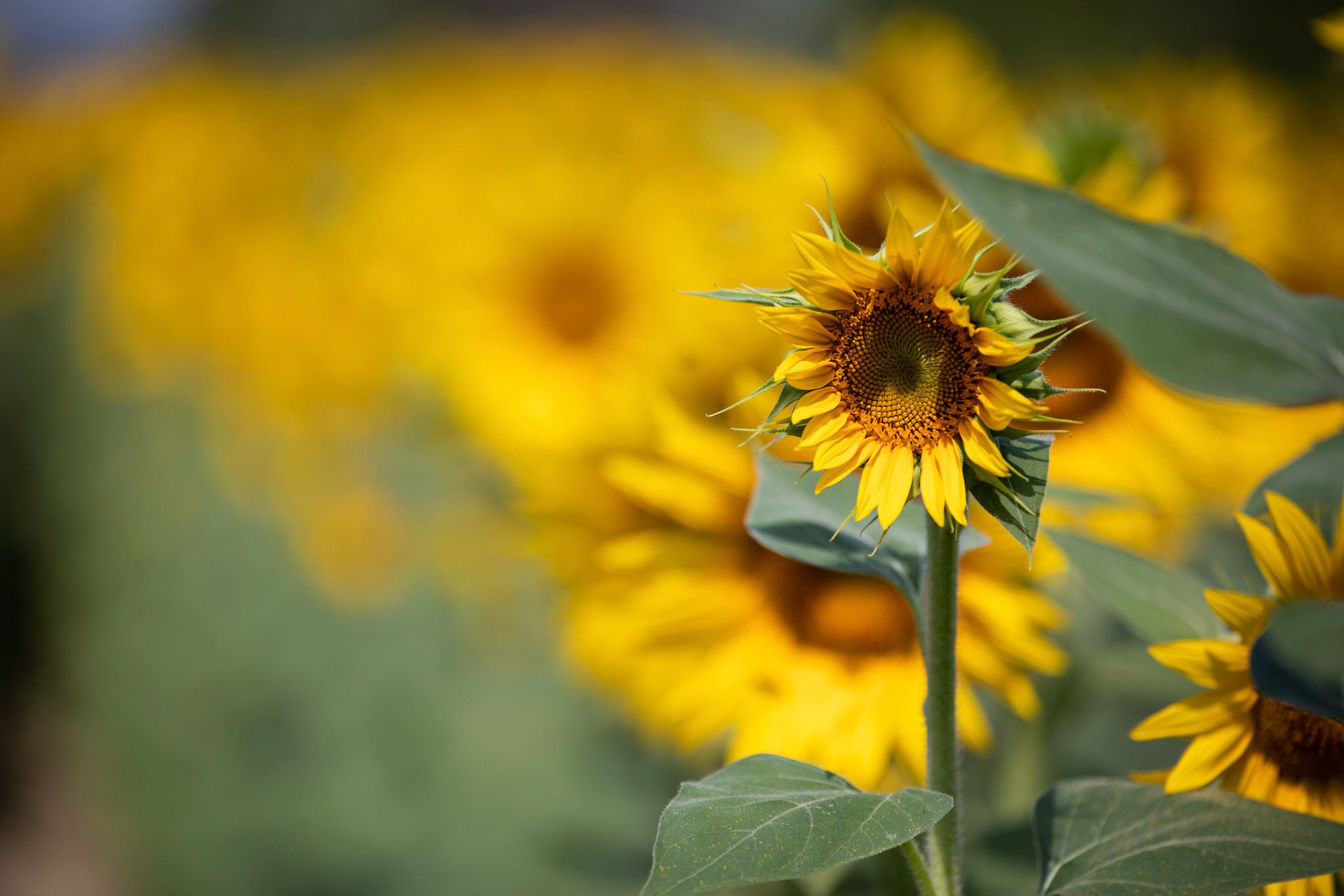 Aix-en-Provence, France