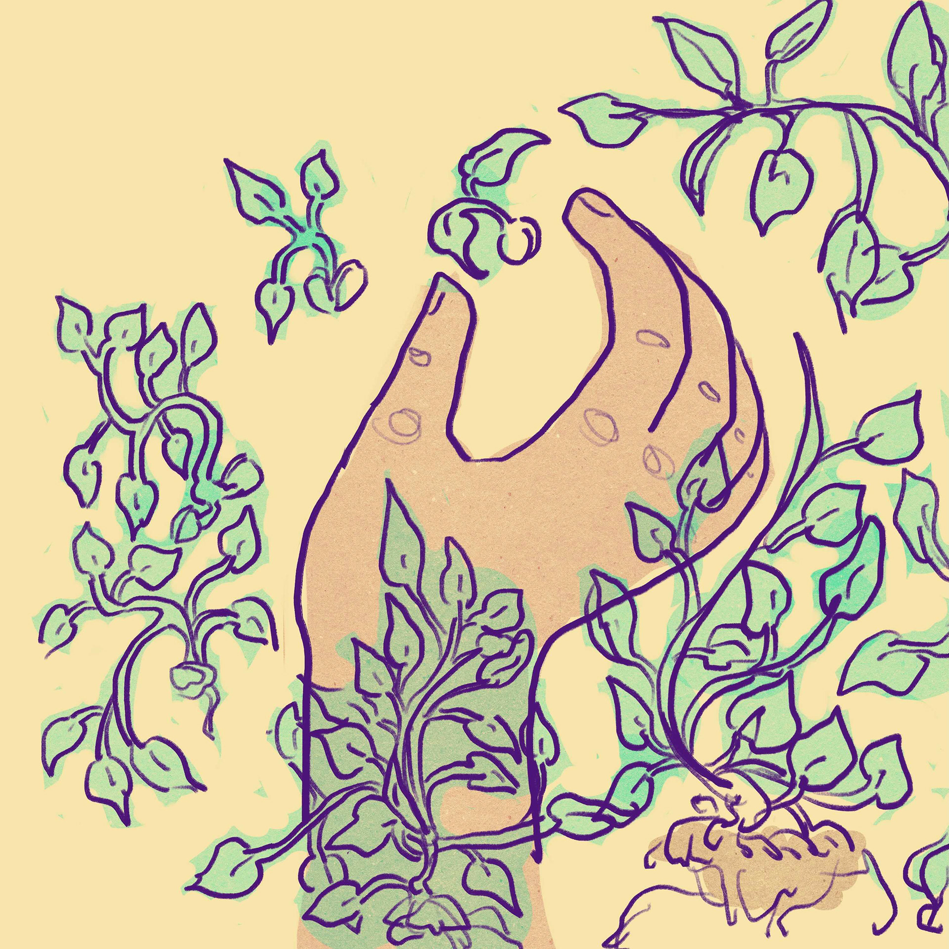 From This We Grow