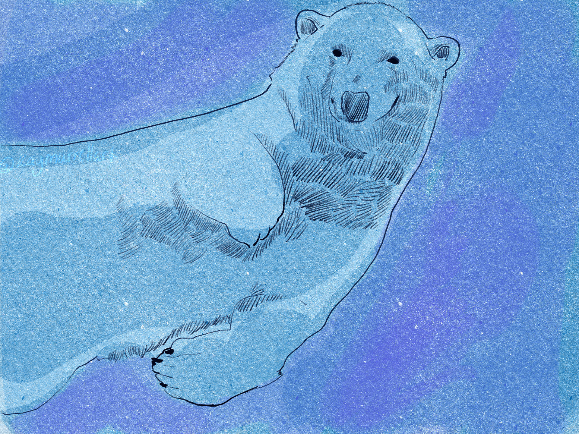 Polar