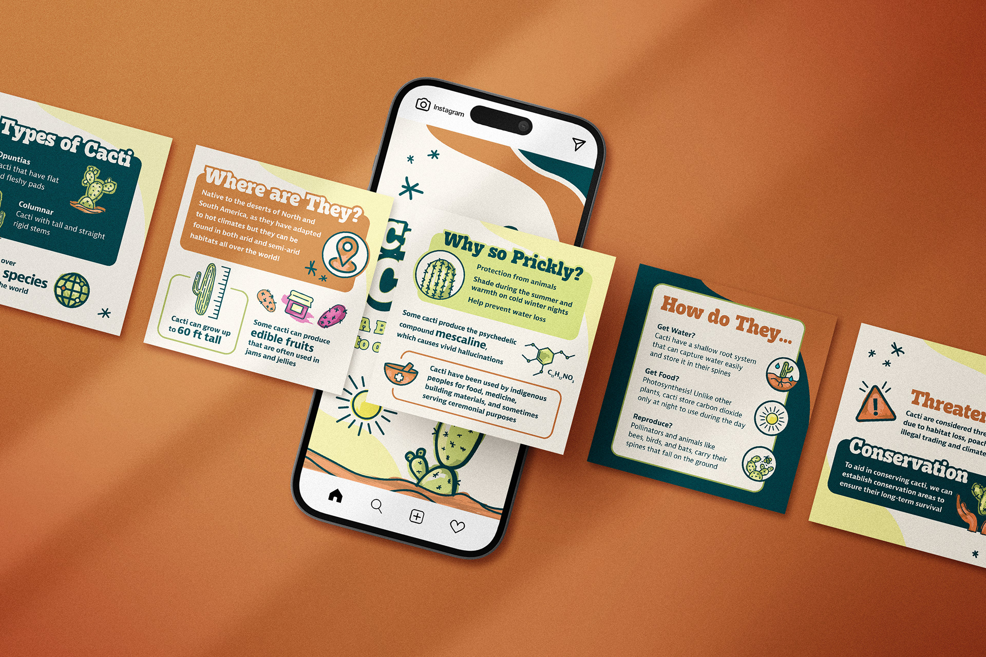 Crazy for cacti infographic social media carousel design mocked up