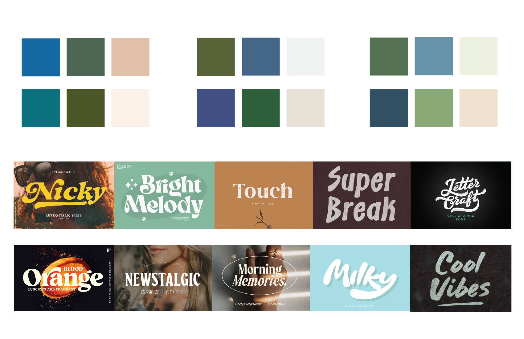Concept board of color schemes and typography for the Ditch Restaurant rebrand