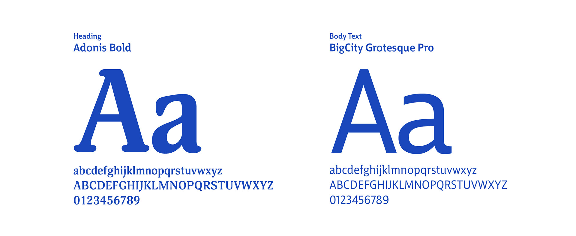 heading font and body font used for project