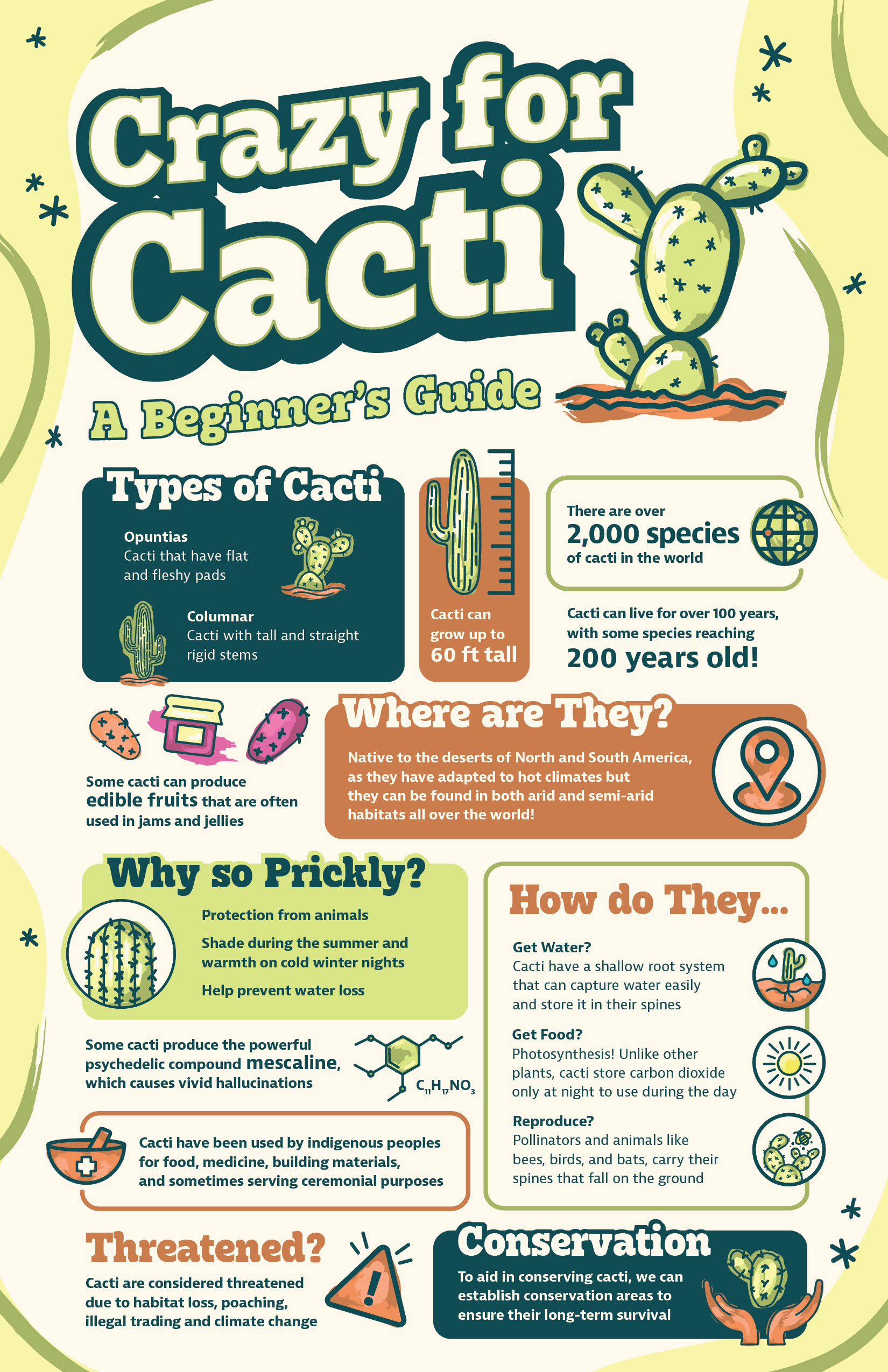 Crazy for Cacti infographic print one-page version