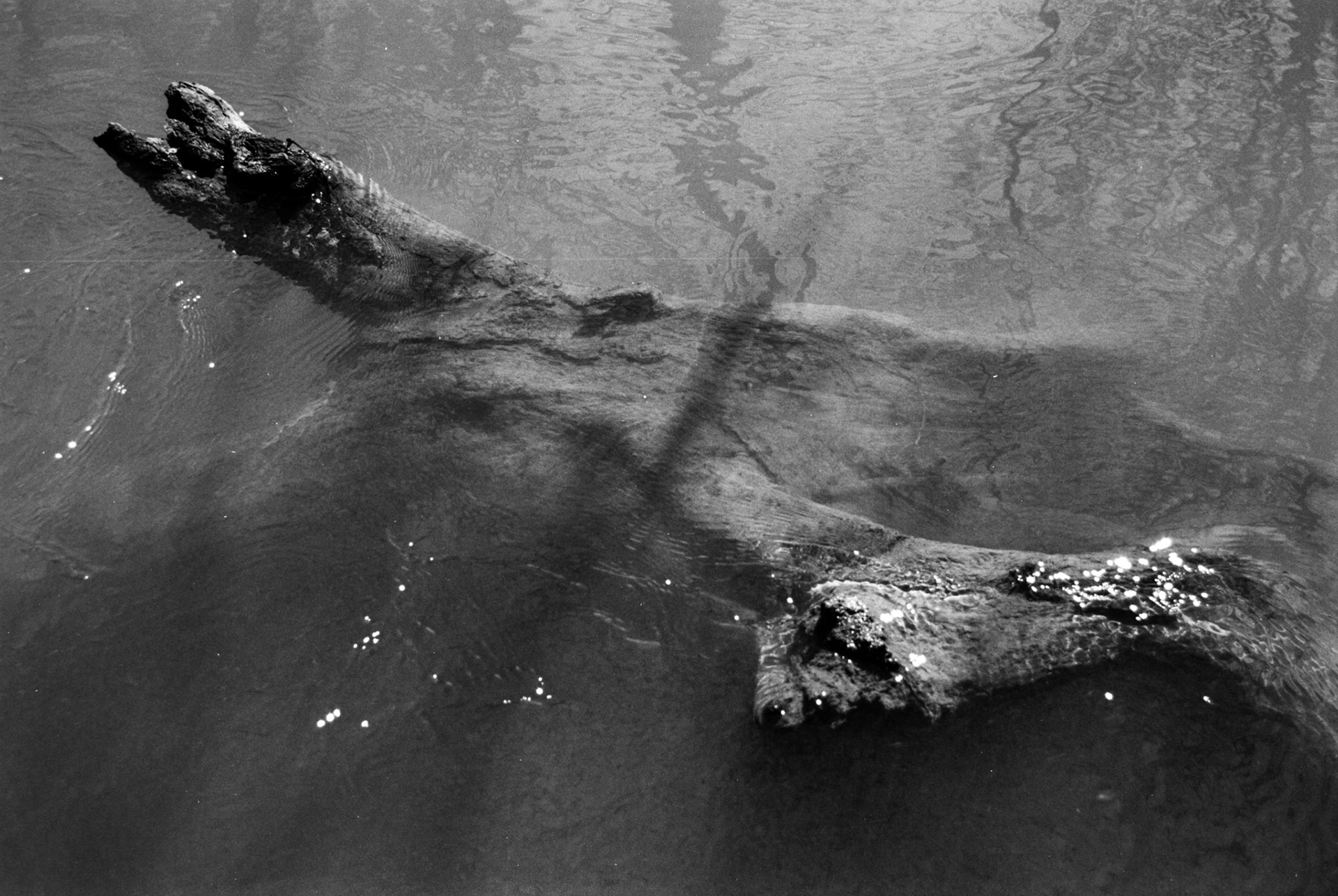 River of Time